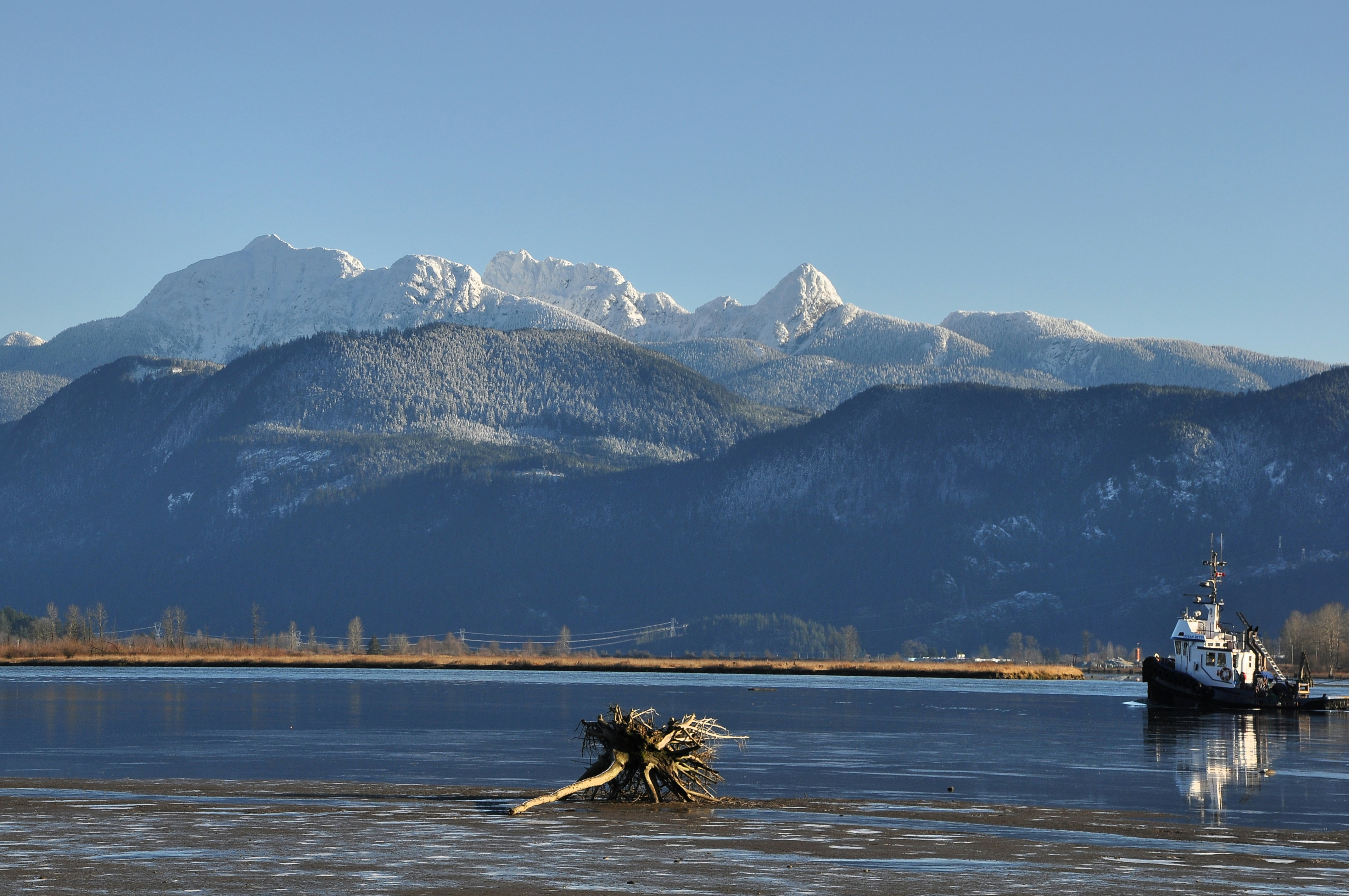 Photo by andreiantica