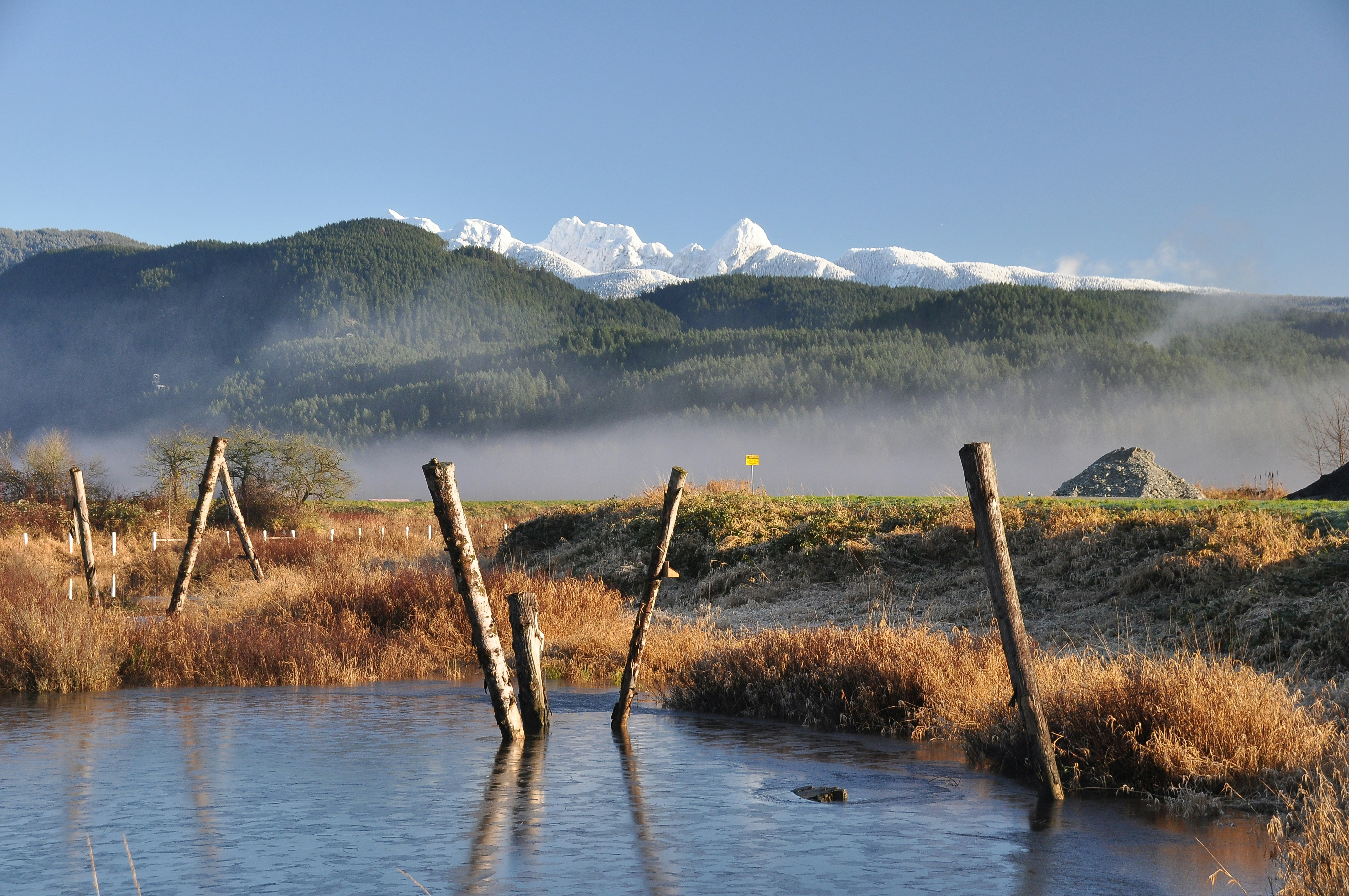 Photo by andreiantica