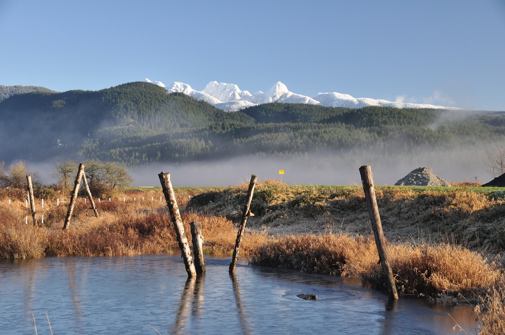 a body of water surrounded by tall brown grass