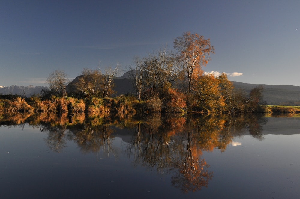 a body of water surrounded by trees and mountains