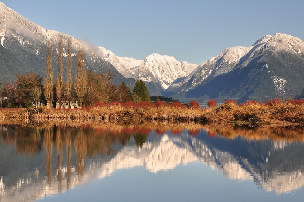 a body of water surrounded by mountains and trees