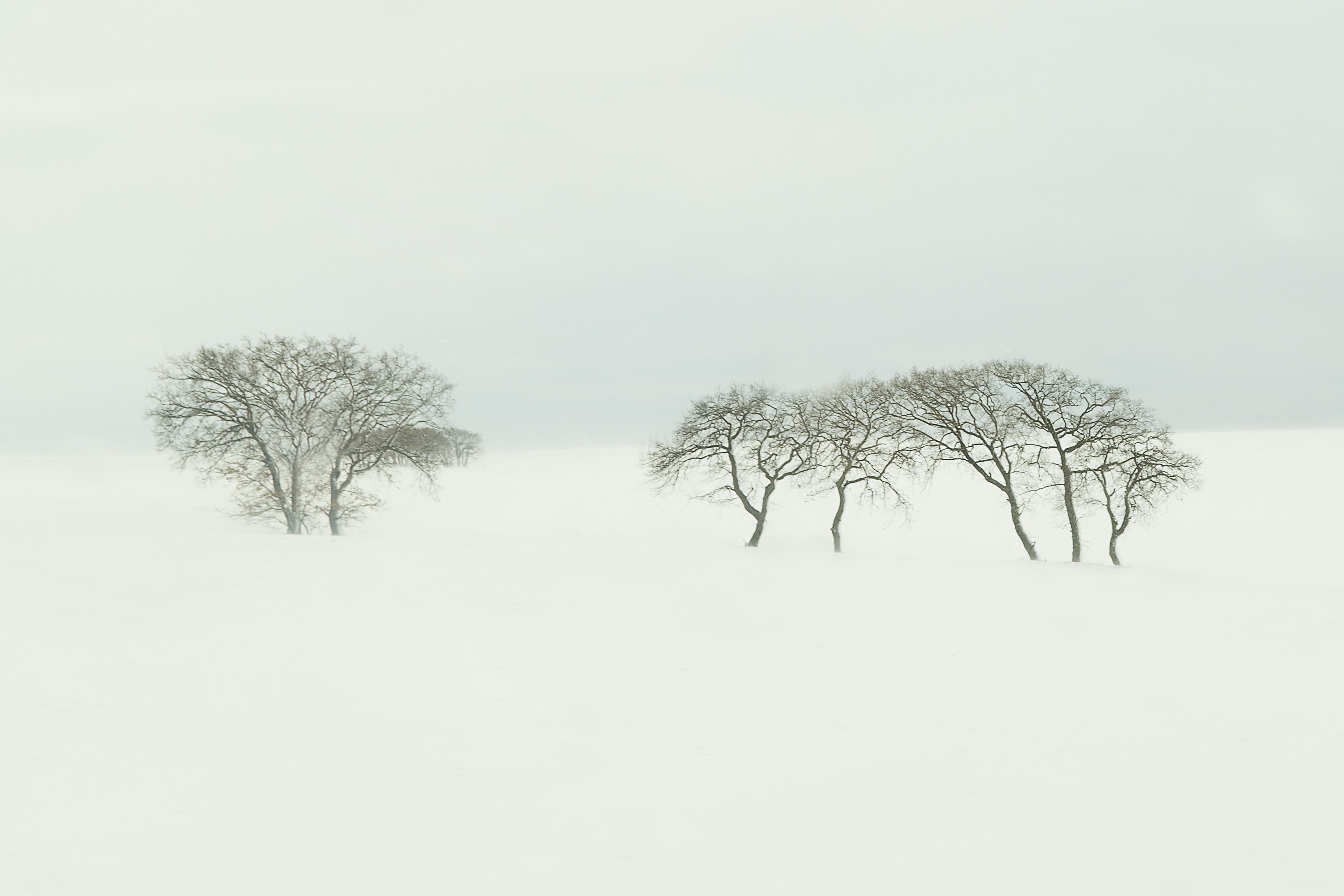 Photo by tunagraphy