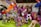 A collection of brightly colored, intricately embroidered stuffed animal toys with various designs including unicorns and llamas. Each toy features vibrant patterns and multicolored threads, creating a festive and artistic display.