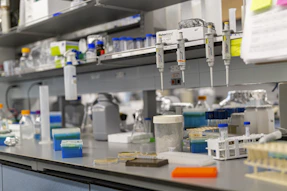 A laboratory bench is full of scientific equipment.