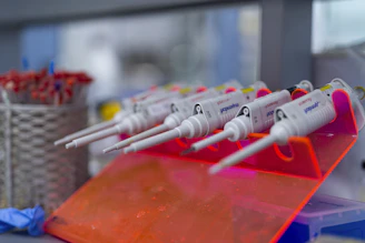 Laboratory pipettes ready for use in research.