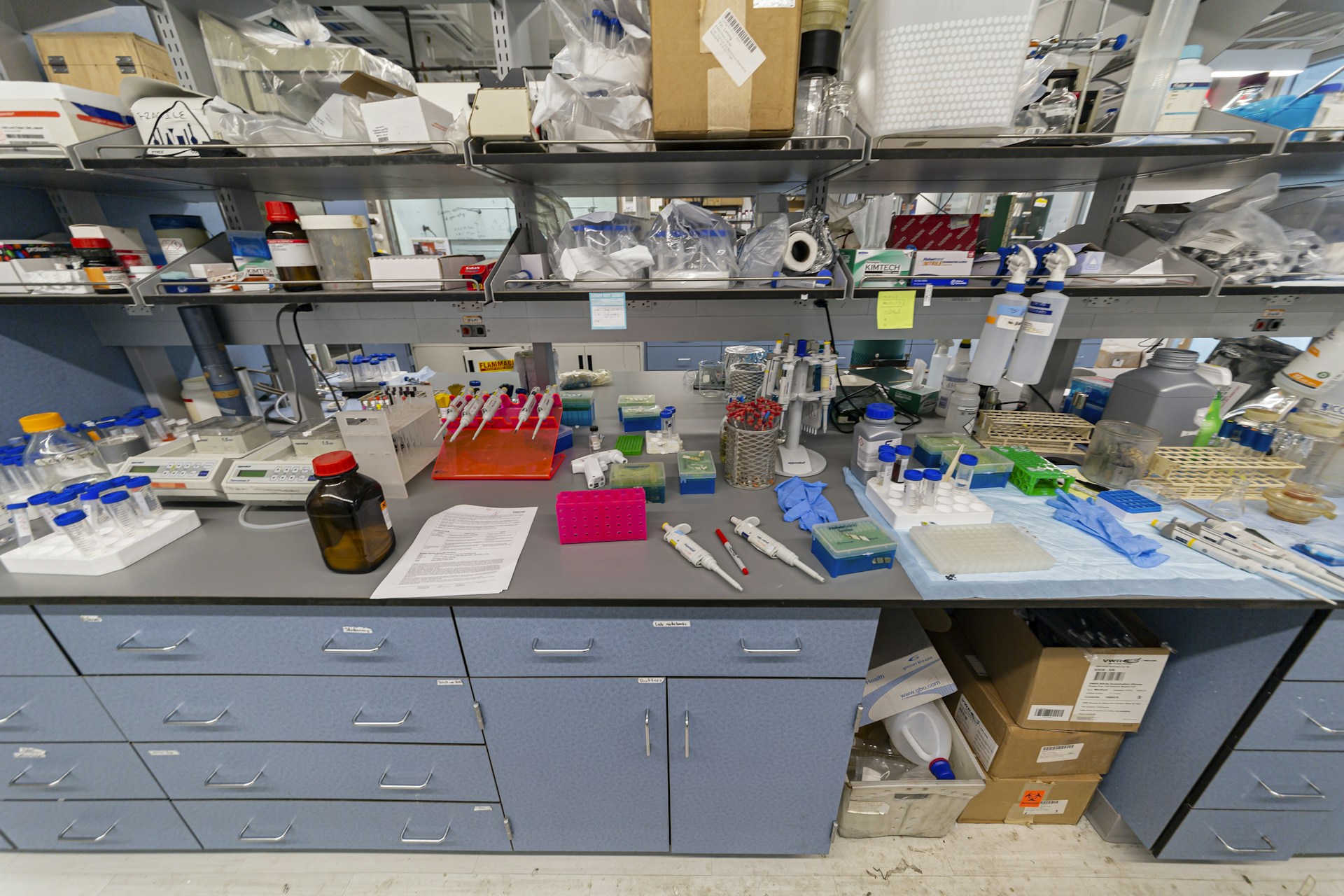 Vellum laboratory bench in Echo Park, Los Angeles
