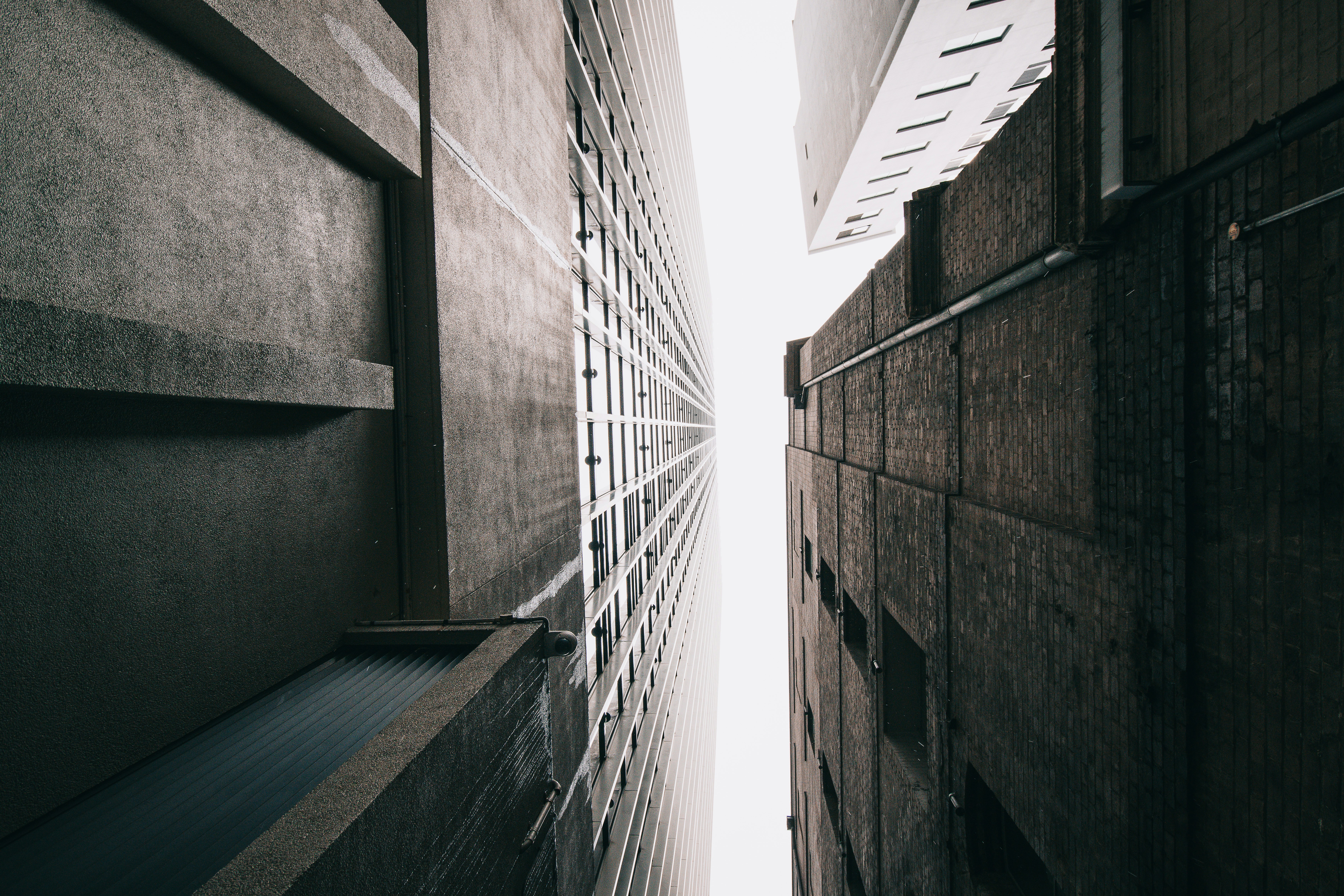 Photo by dynamite_luke