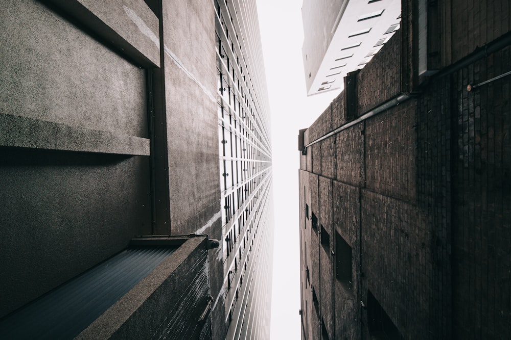 looking up at the side of a tall building