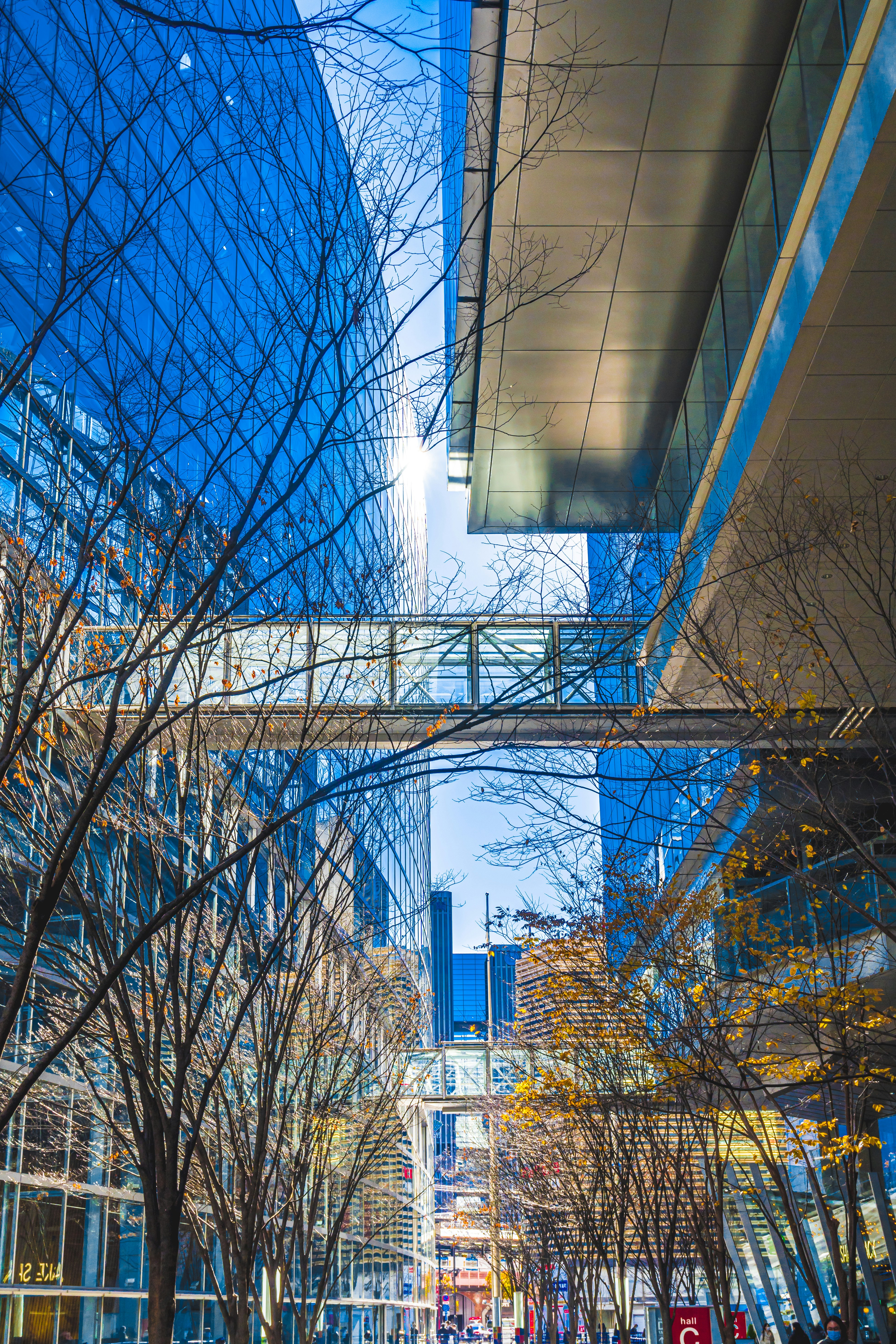 Tokyo International Forum.