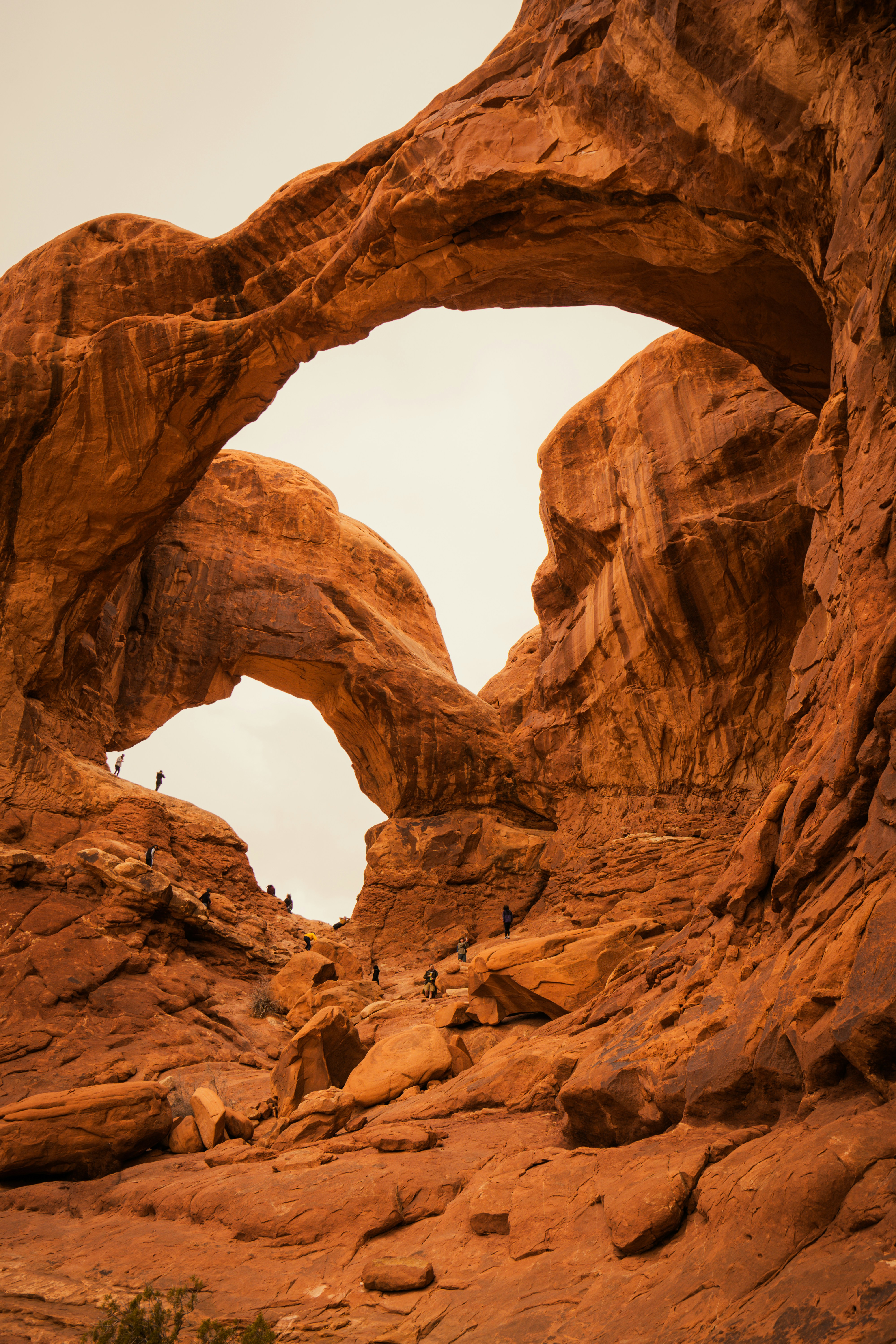 Photo by pics_by_harry