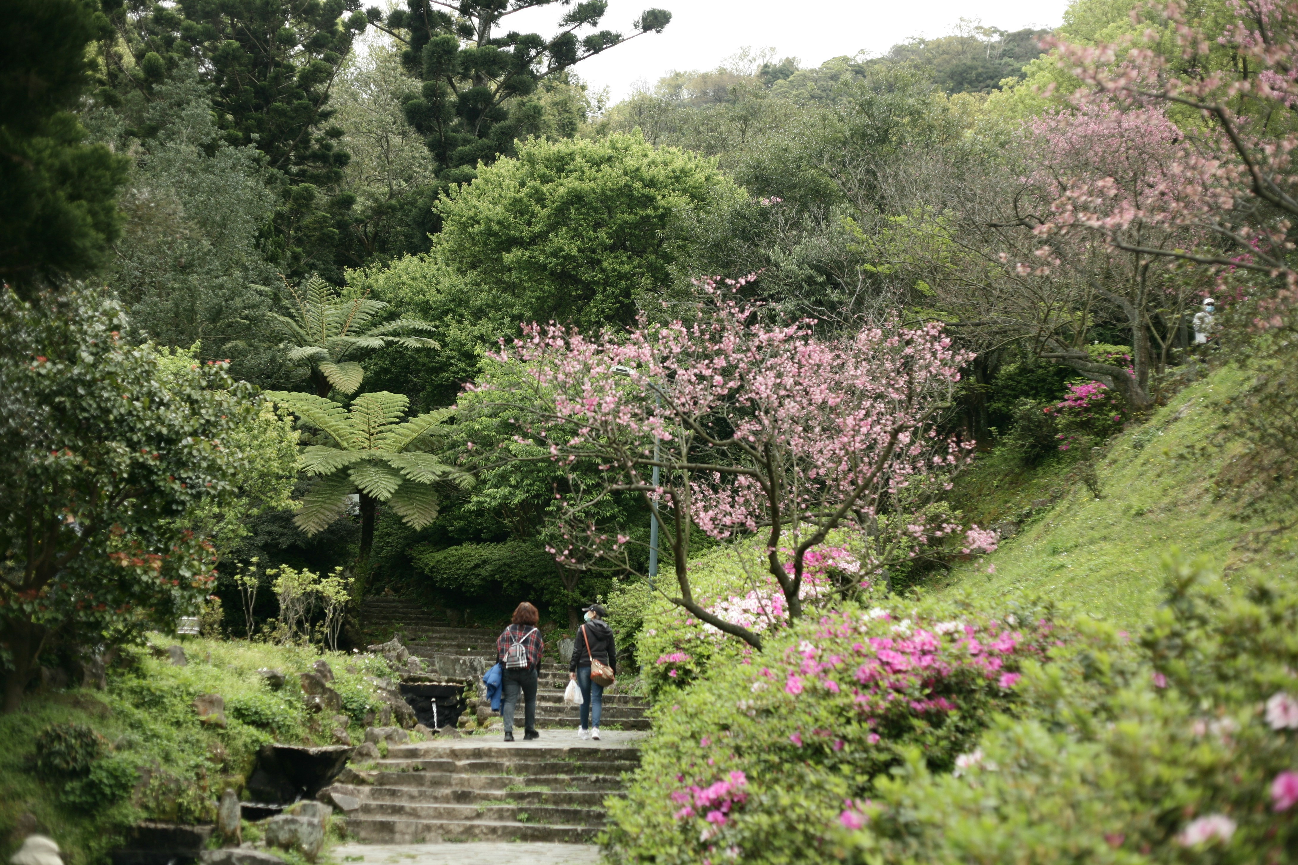 Parque Central Jardín Oriental