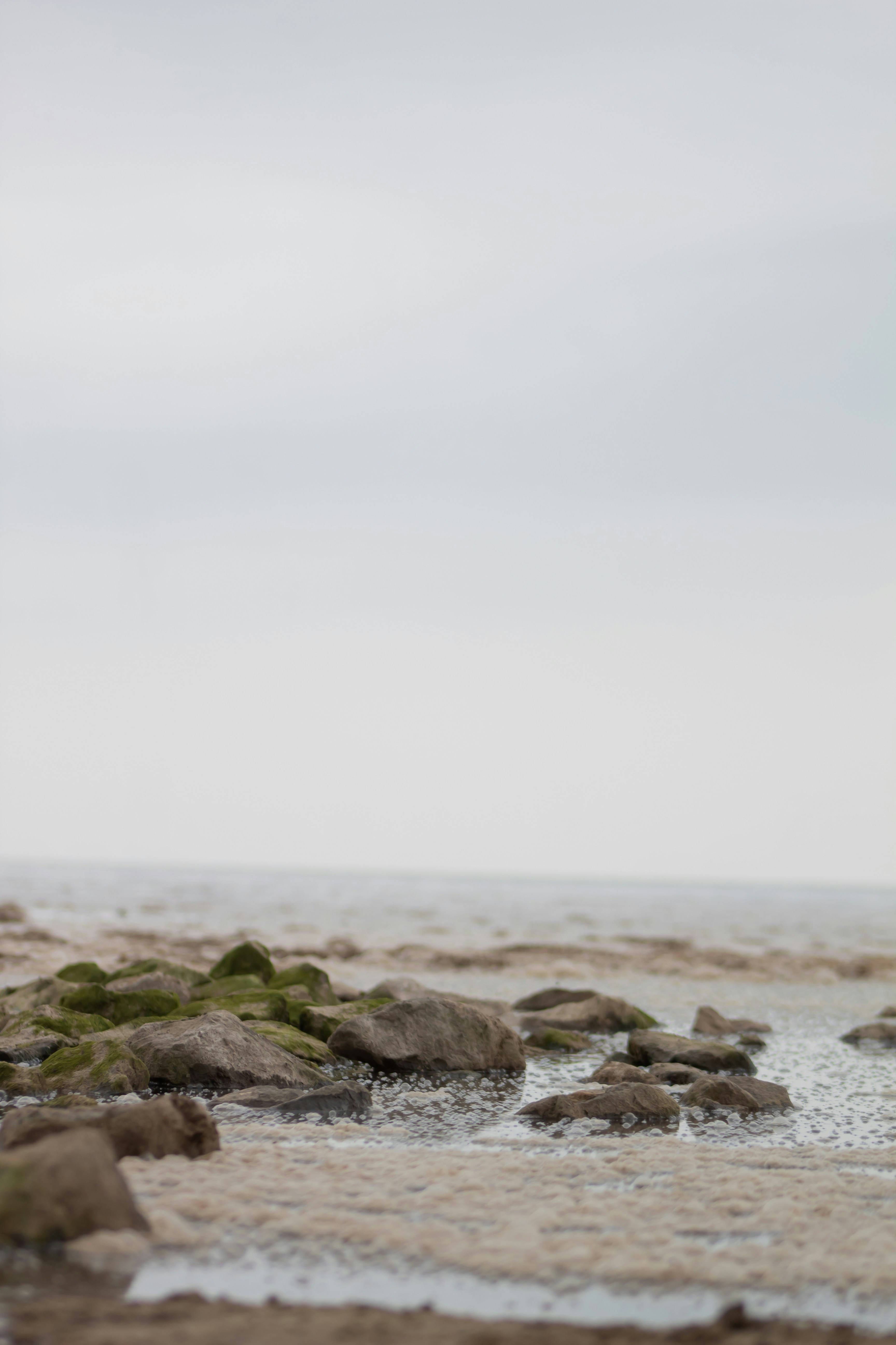 Photo by olivervineford