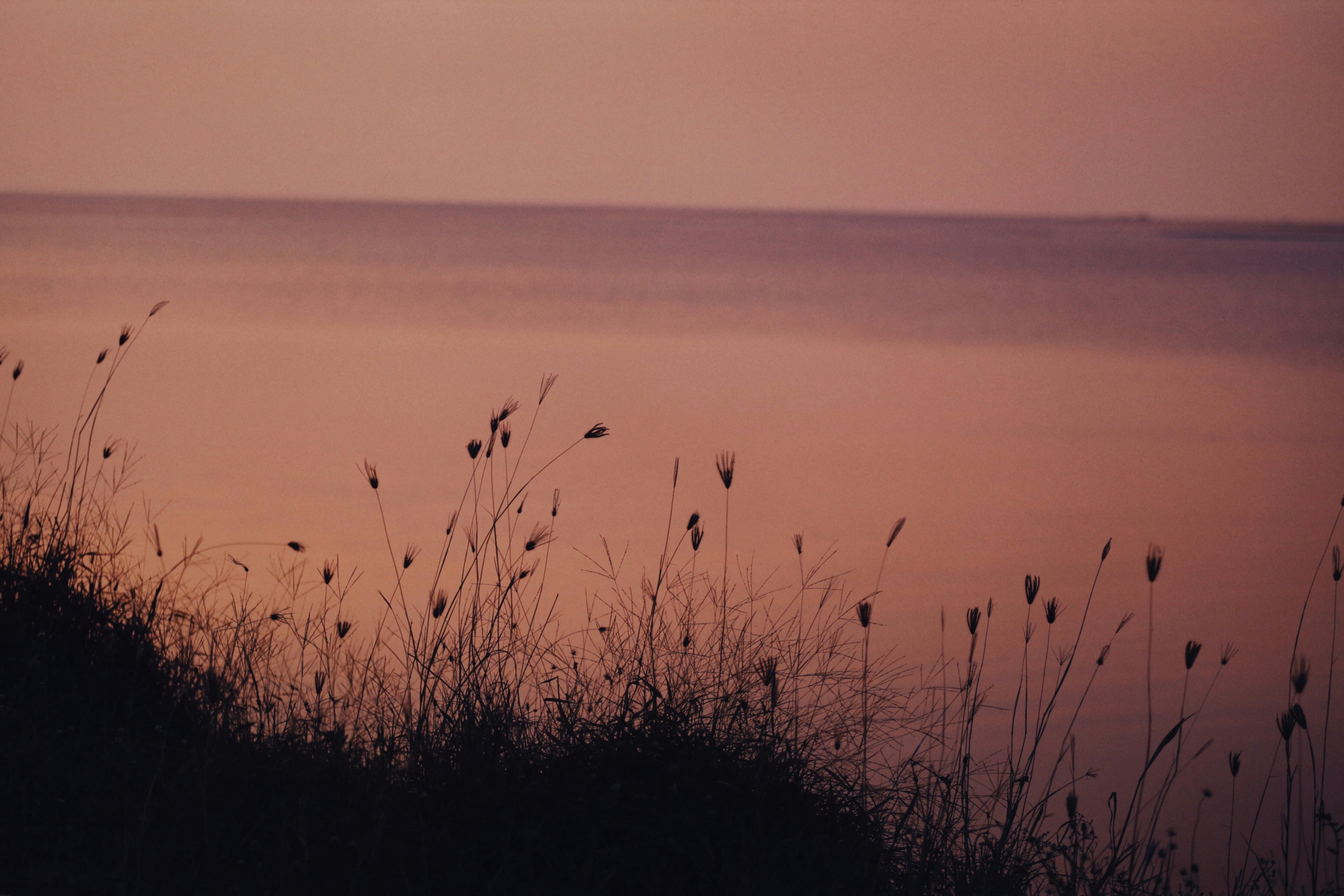 Photo by alexeydemidov