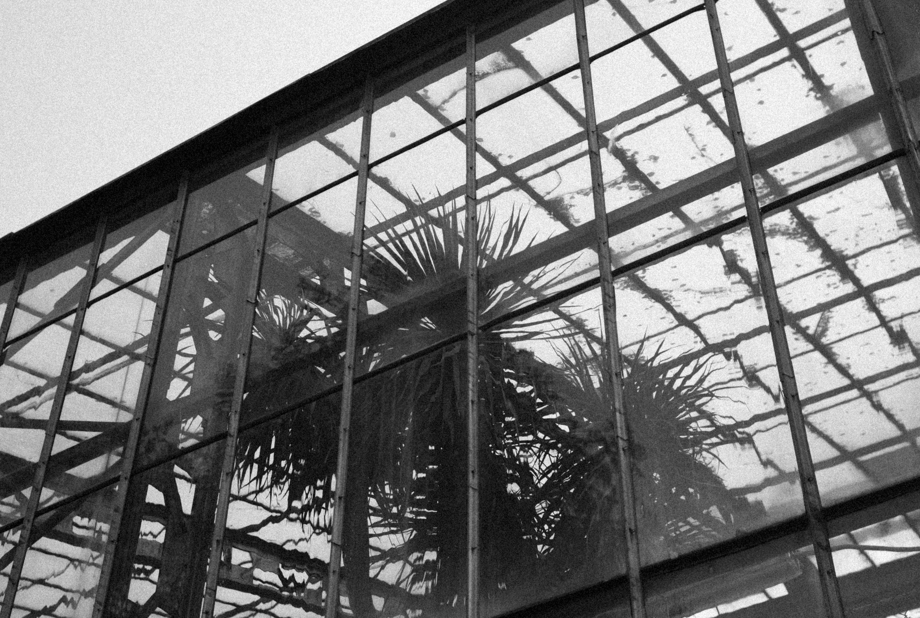 Photo by alexeydemidov