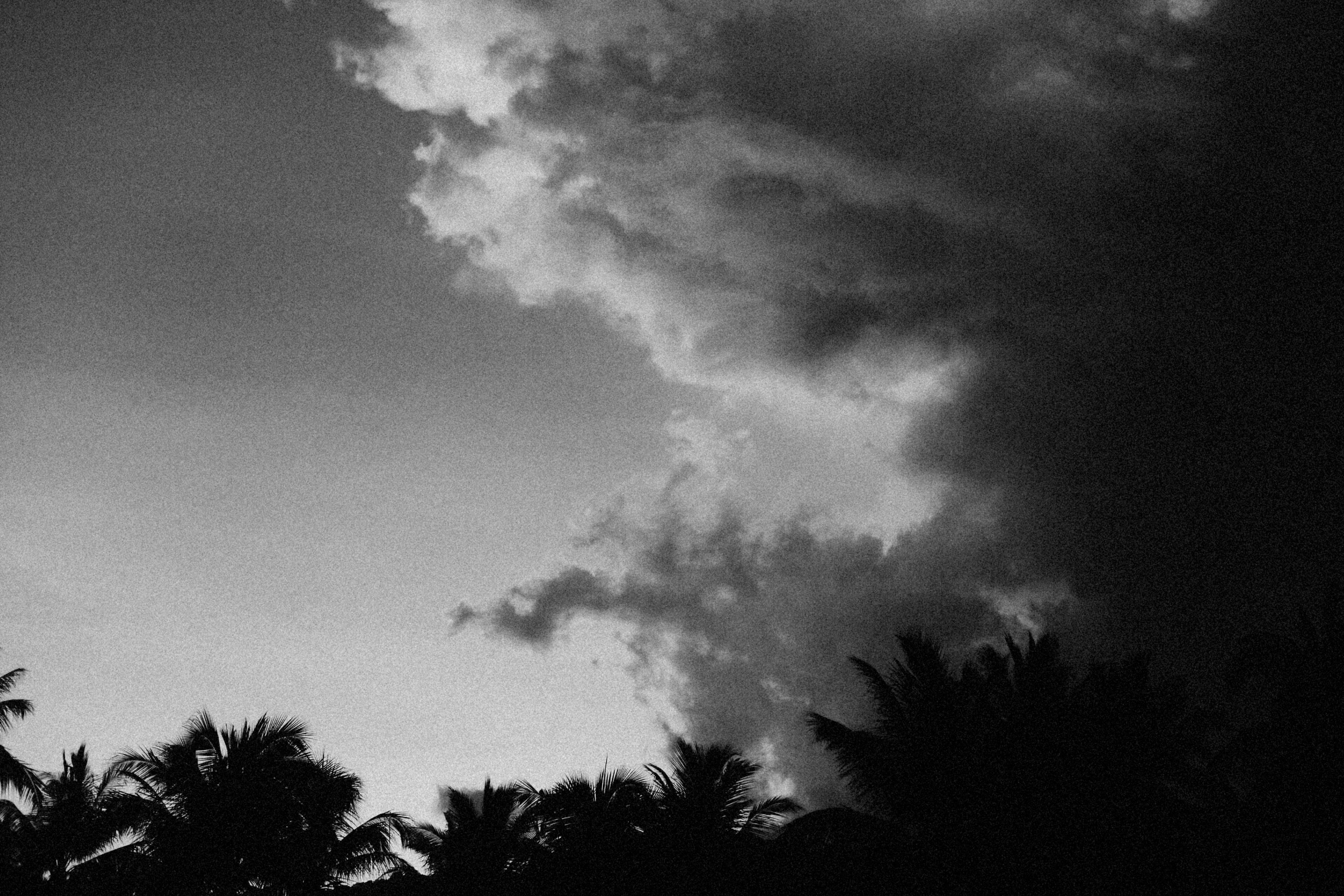 Photo by alexeydemidov