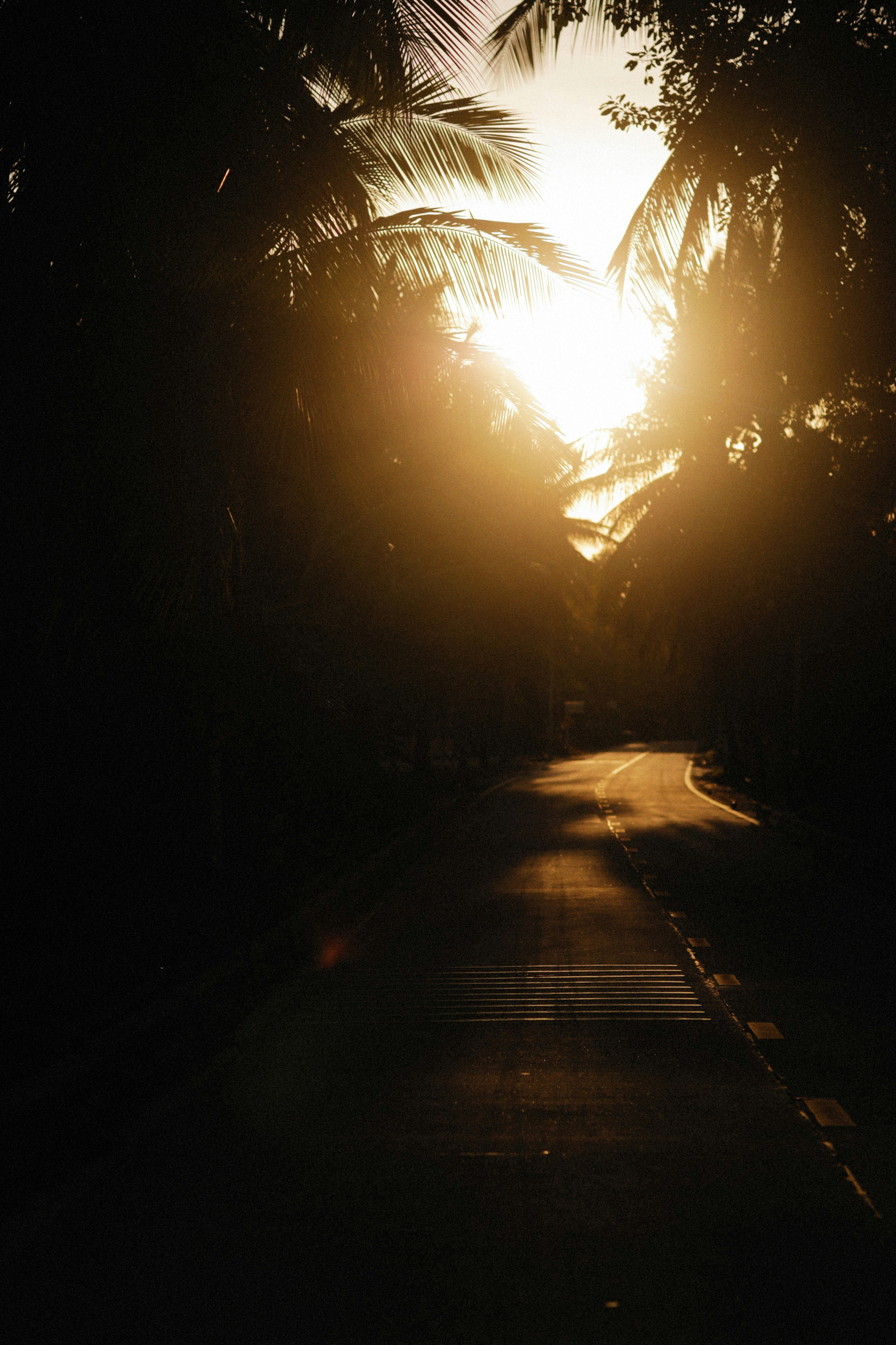 the sun is shining through the trees on the side of the road