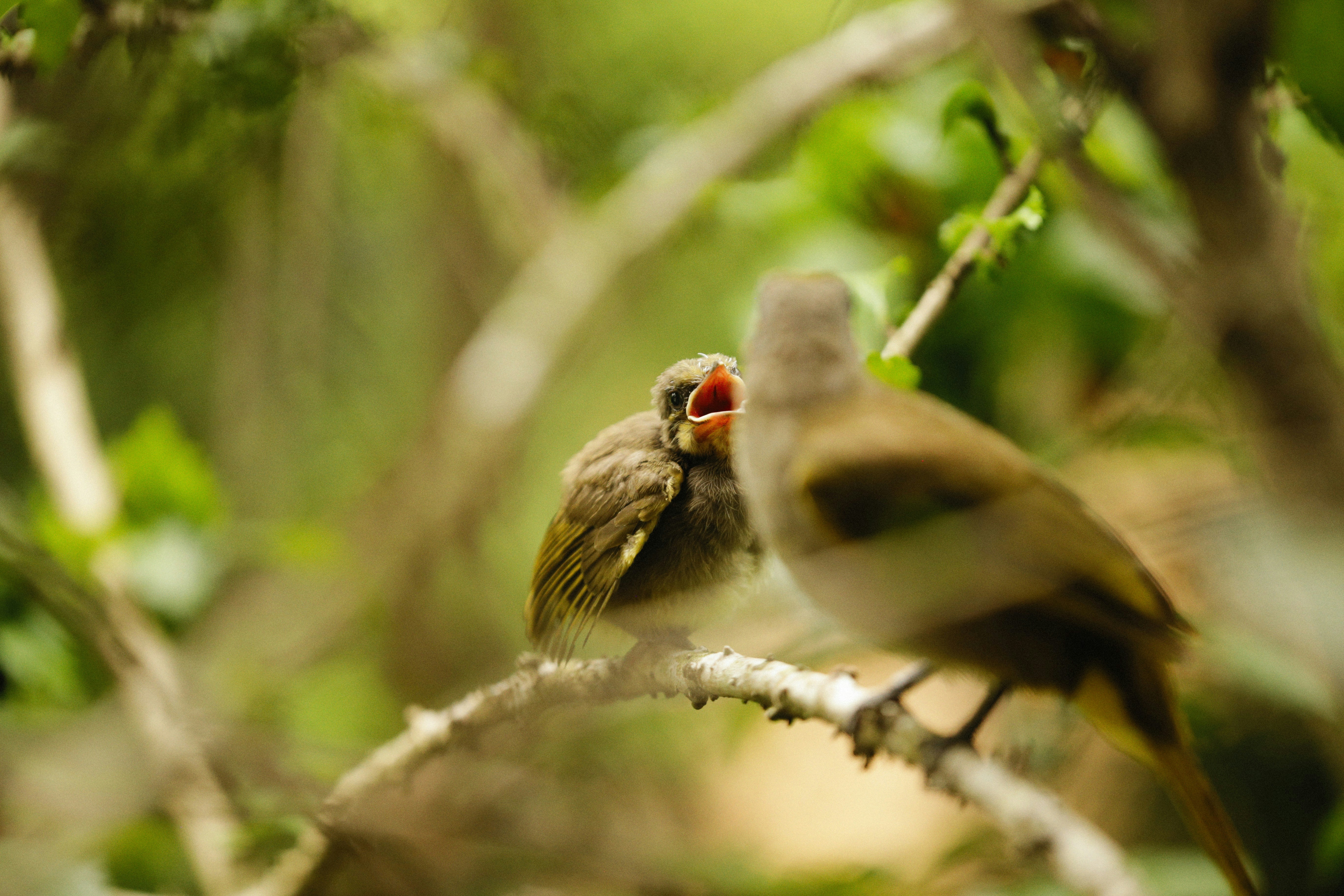 Photo by alexeydemidov