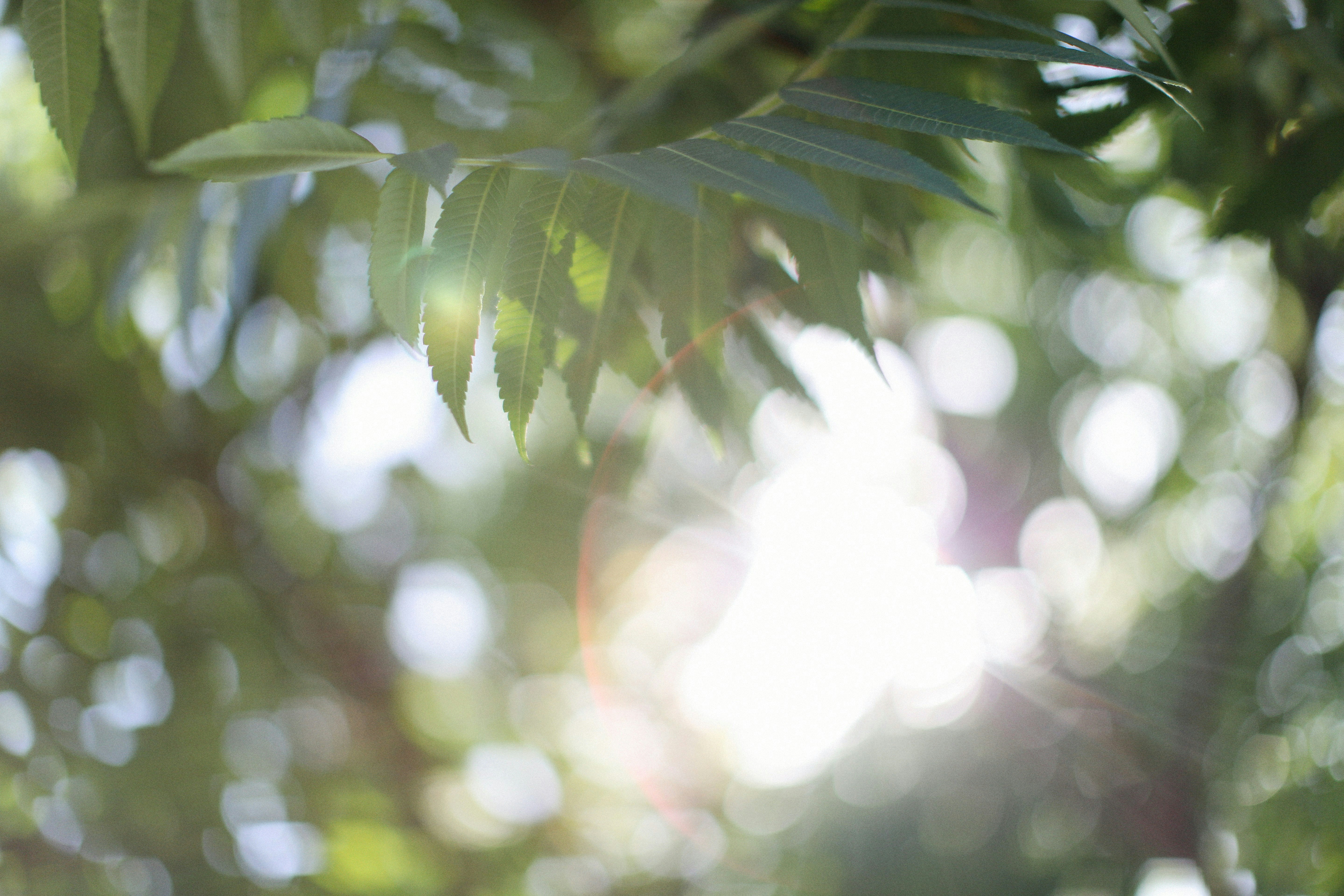 Photo by alexeydemidov