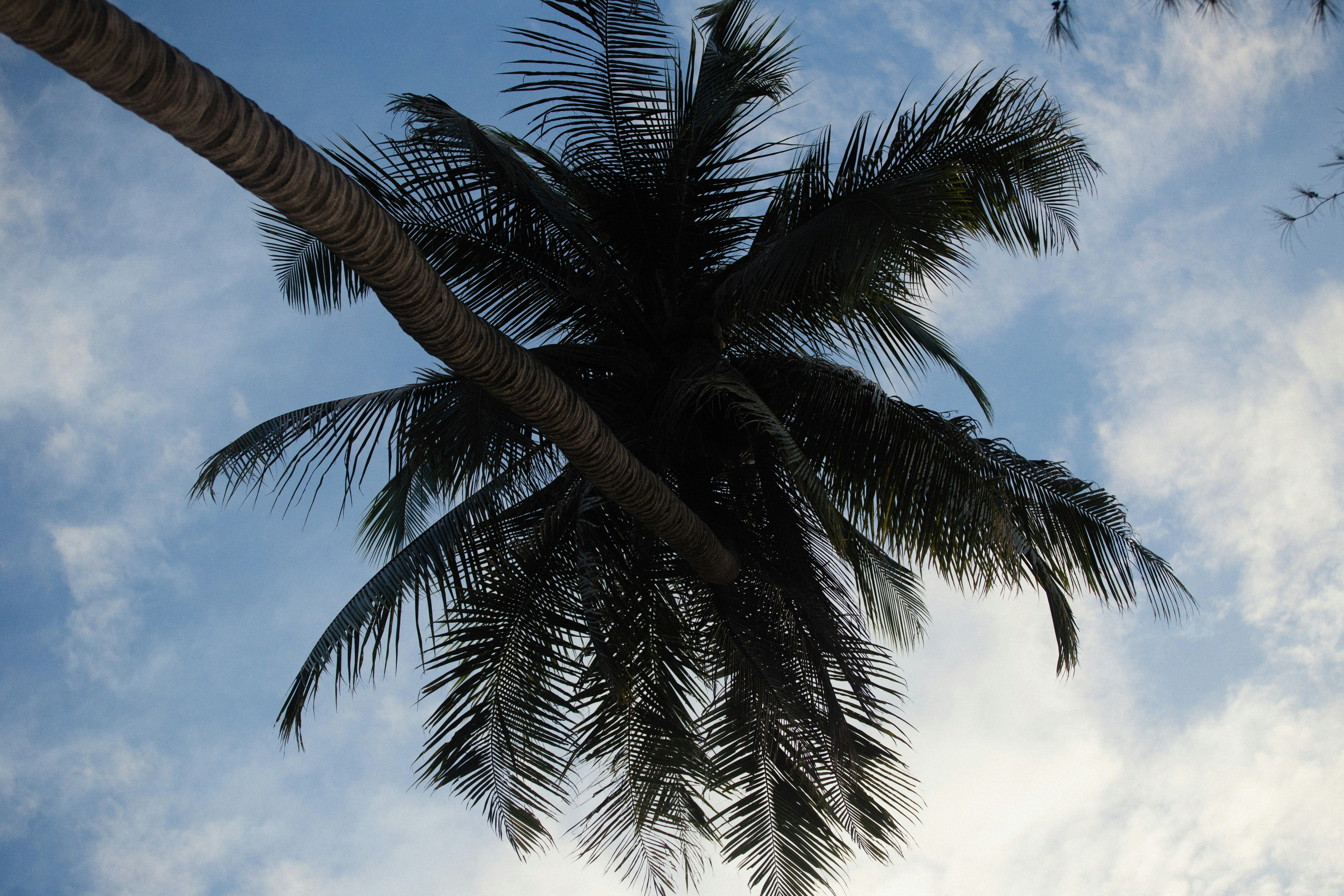 Photo by alexeydemidov