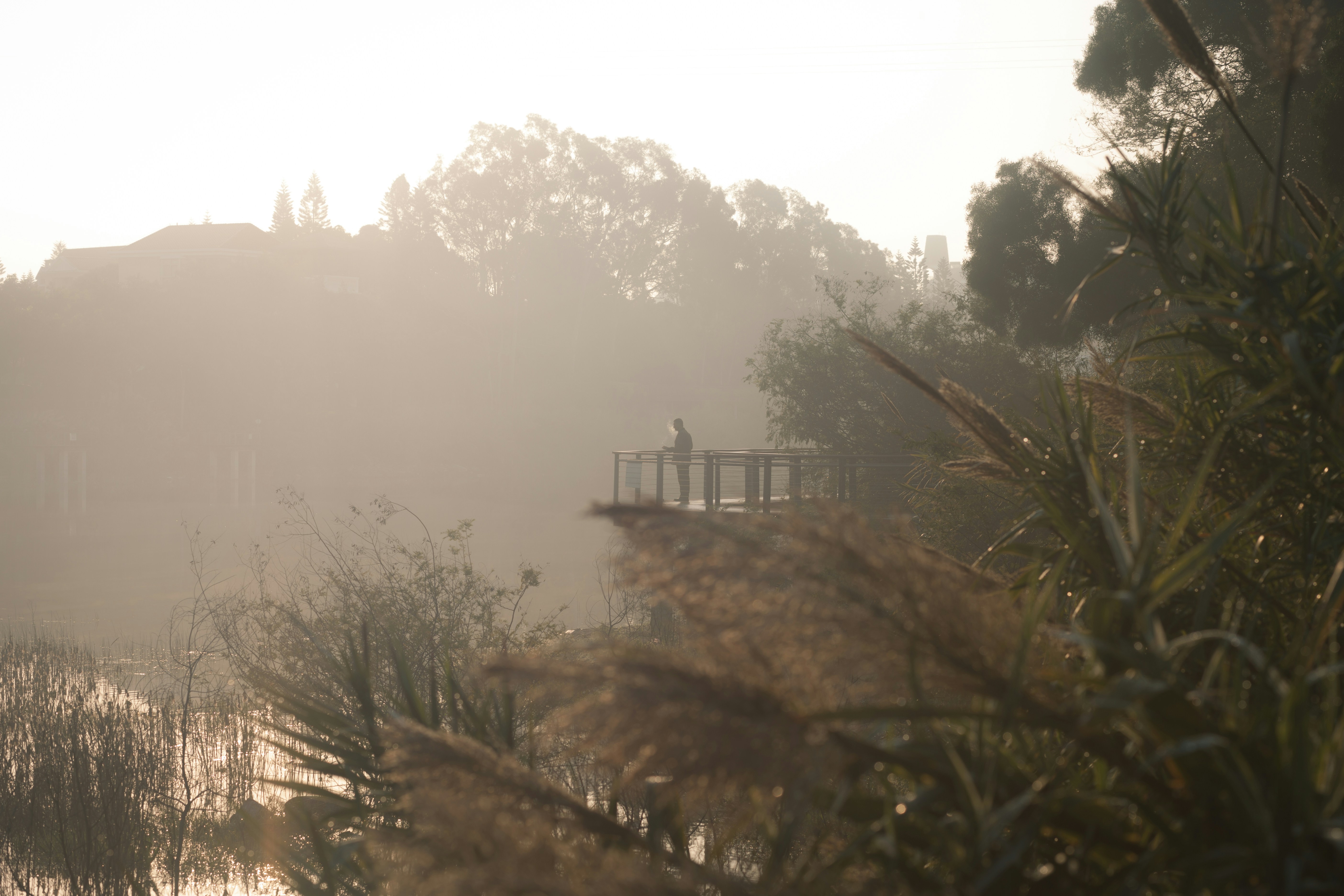 Photo by springdesign