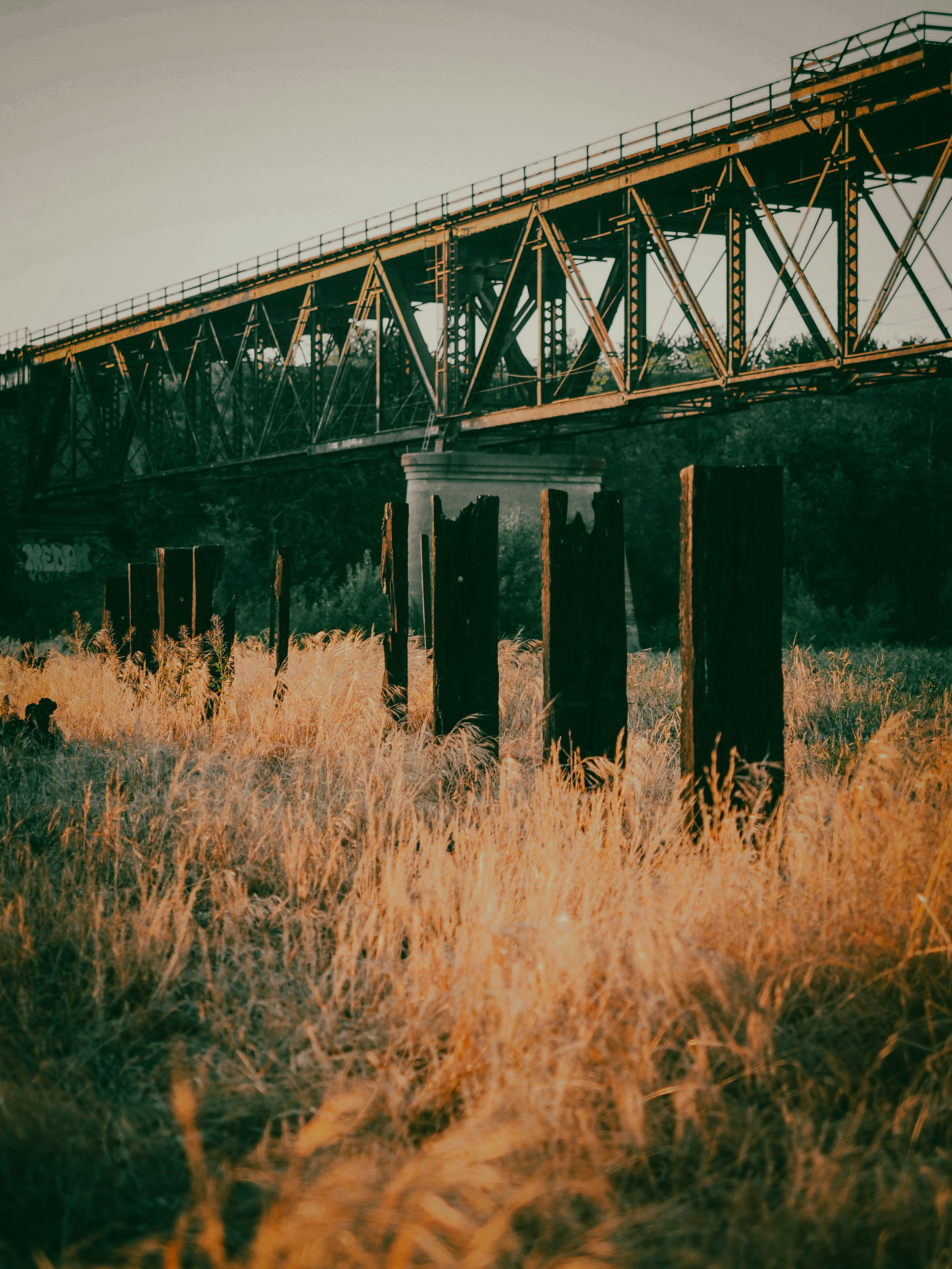 Photo by kalaniparker