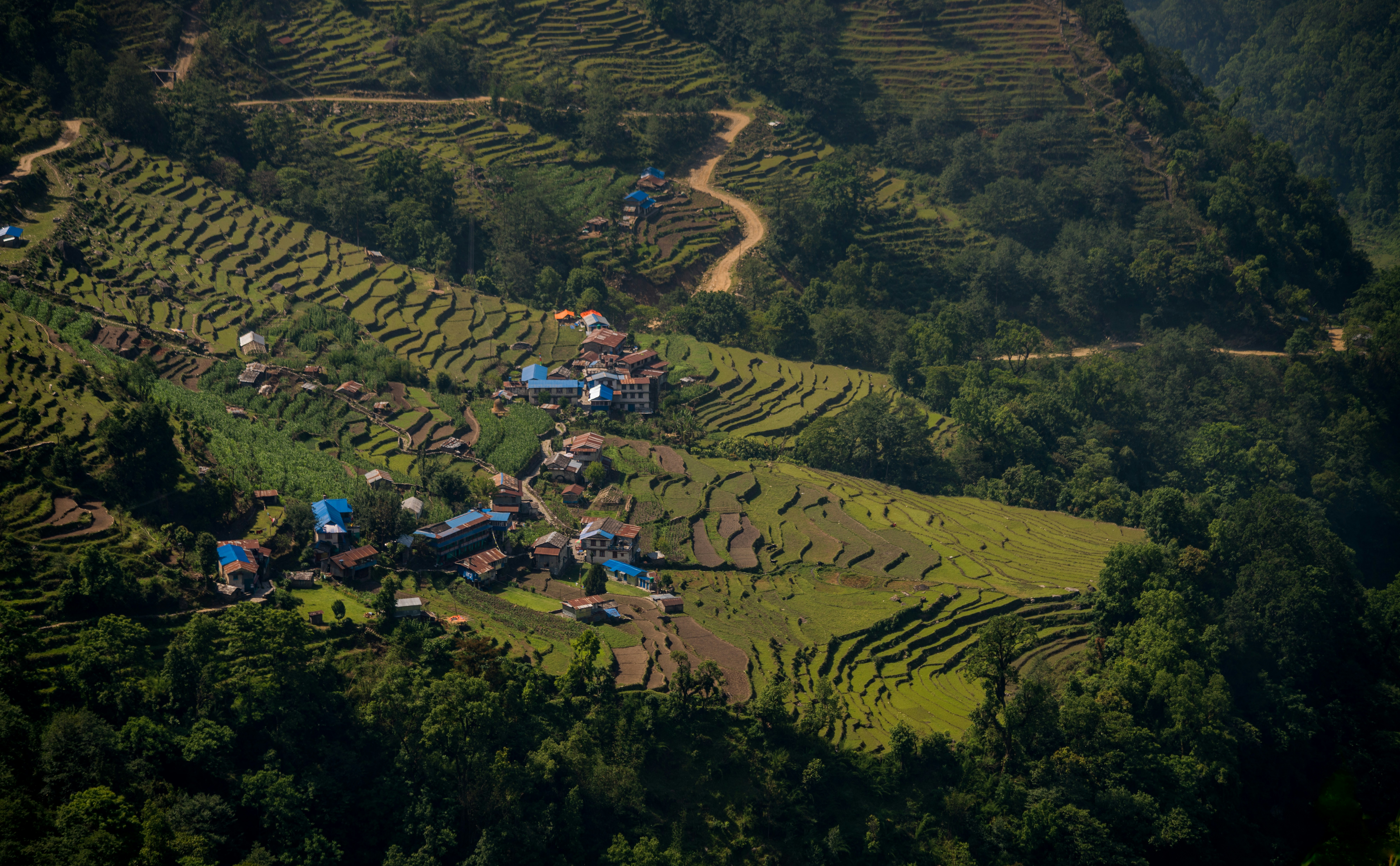 an aerial view of a lush green hillside