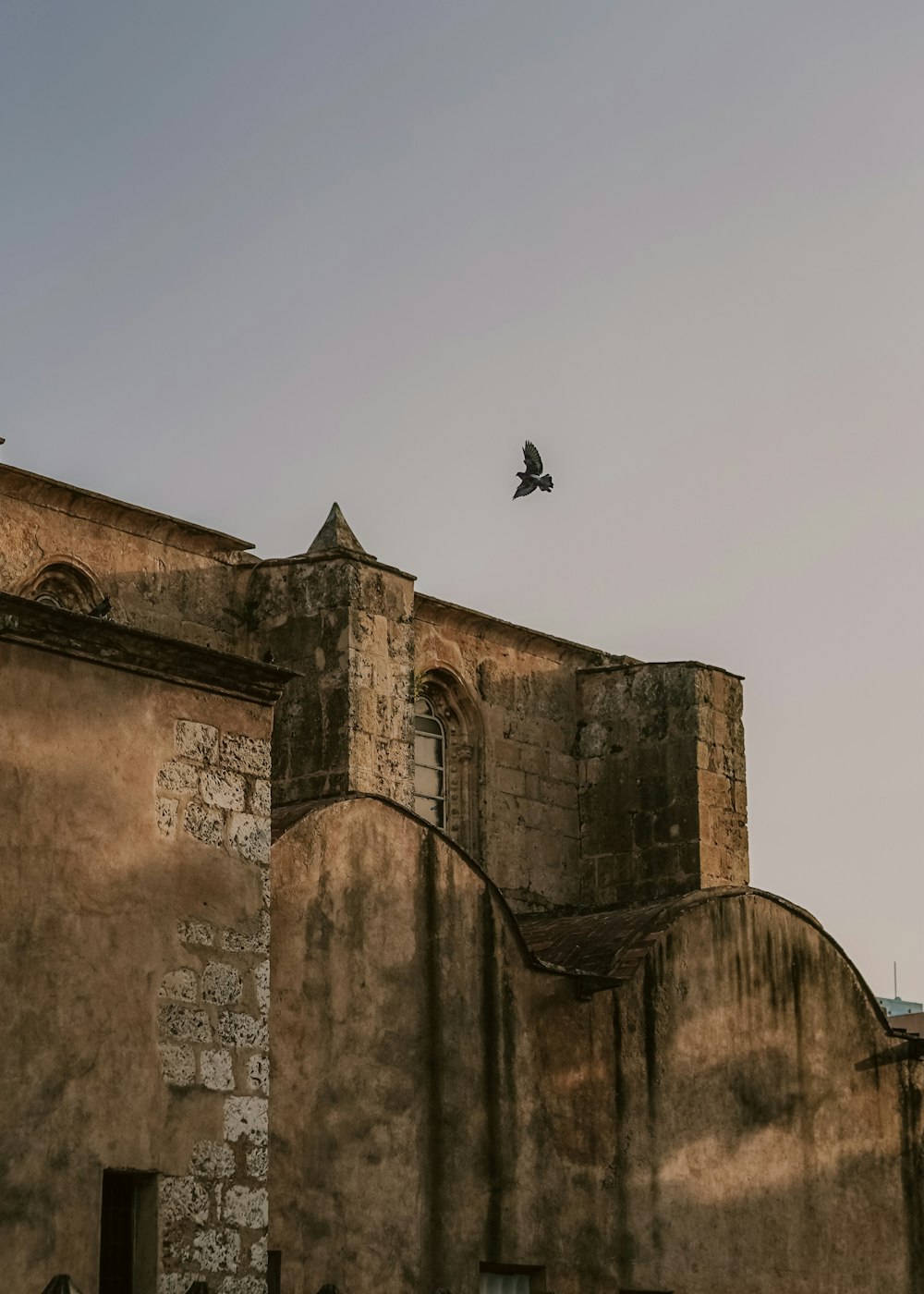 a bird flying over a building with a bird on top of it