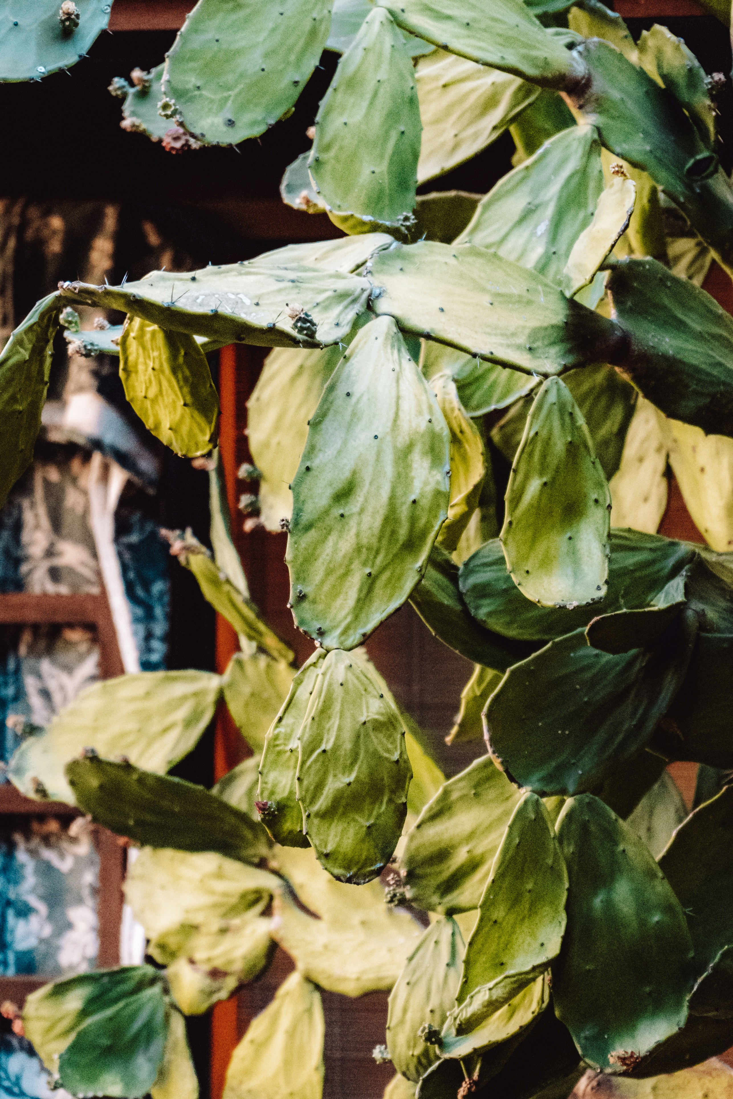 Photo by framesforyourheart