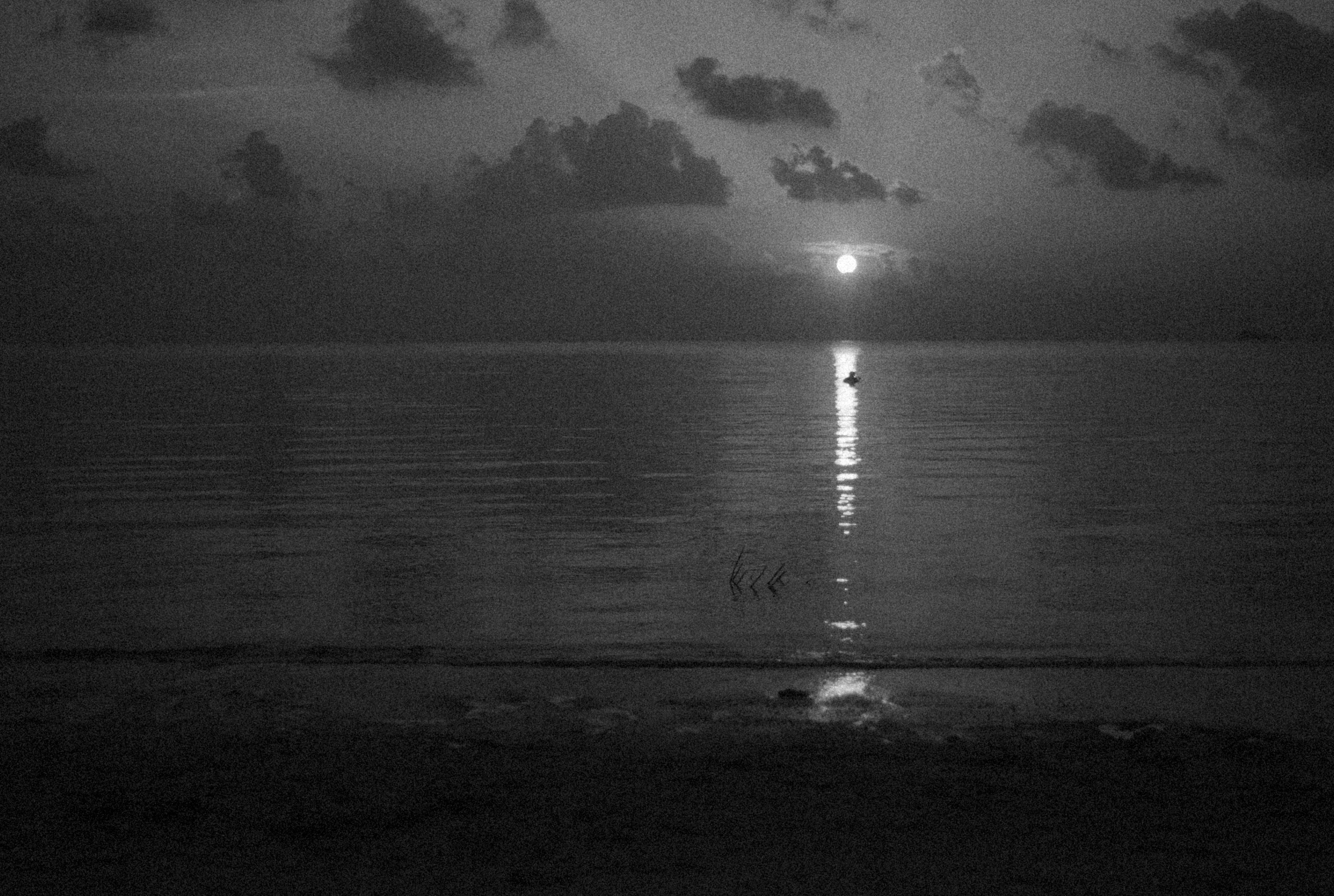 Photo by alexeydemidov