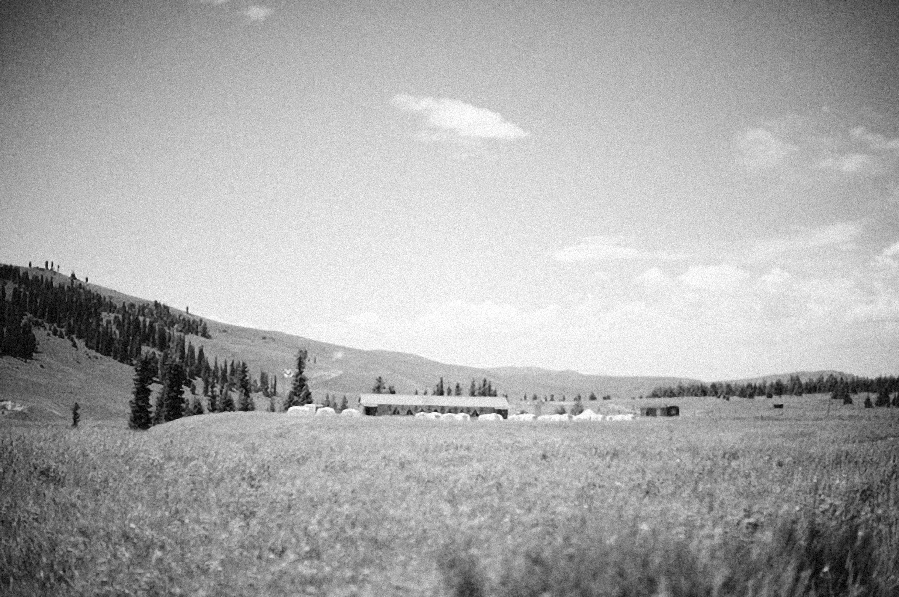 Photo by alexeydemidov