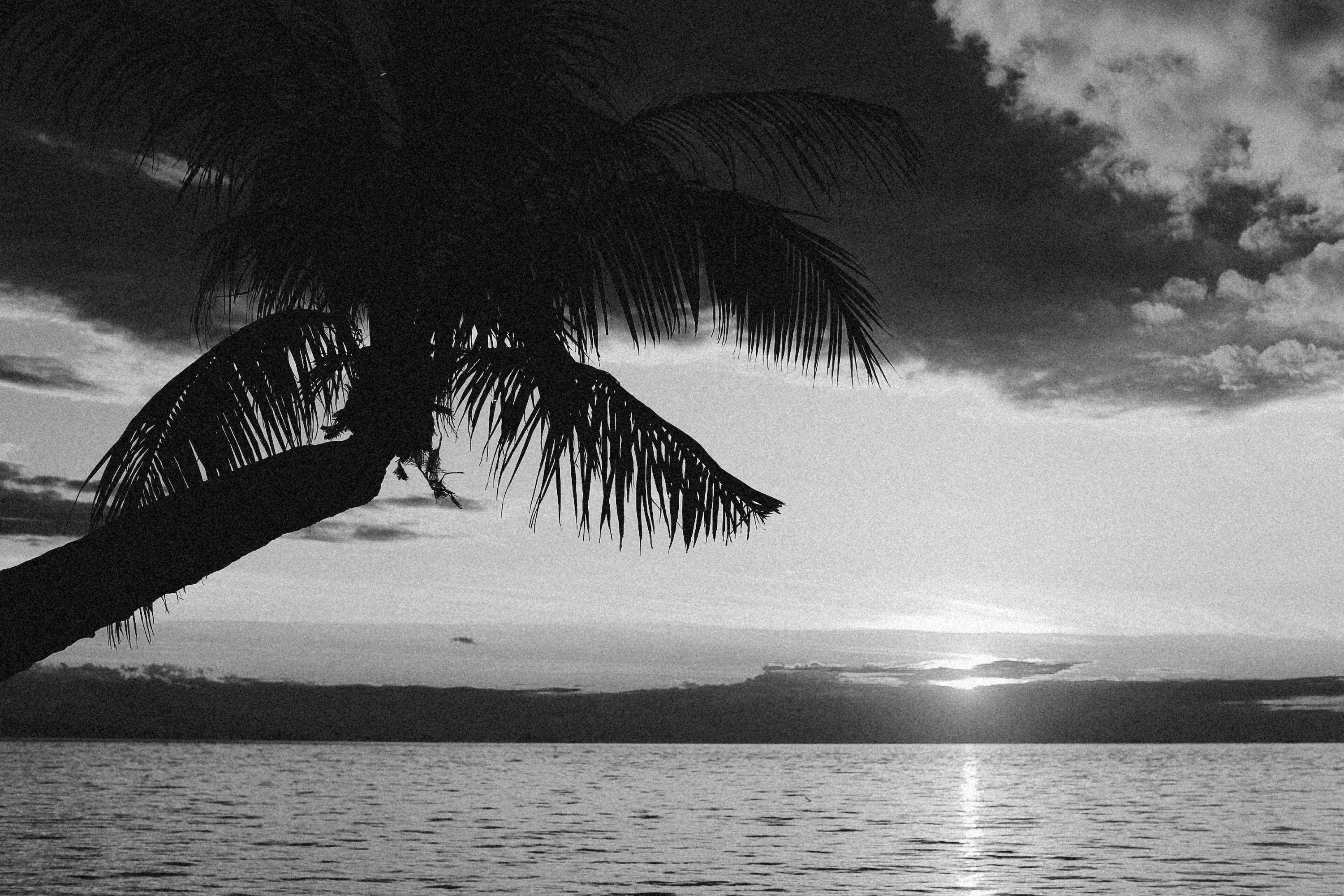 Photo by alexeydemidov