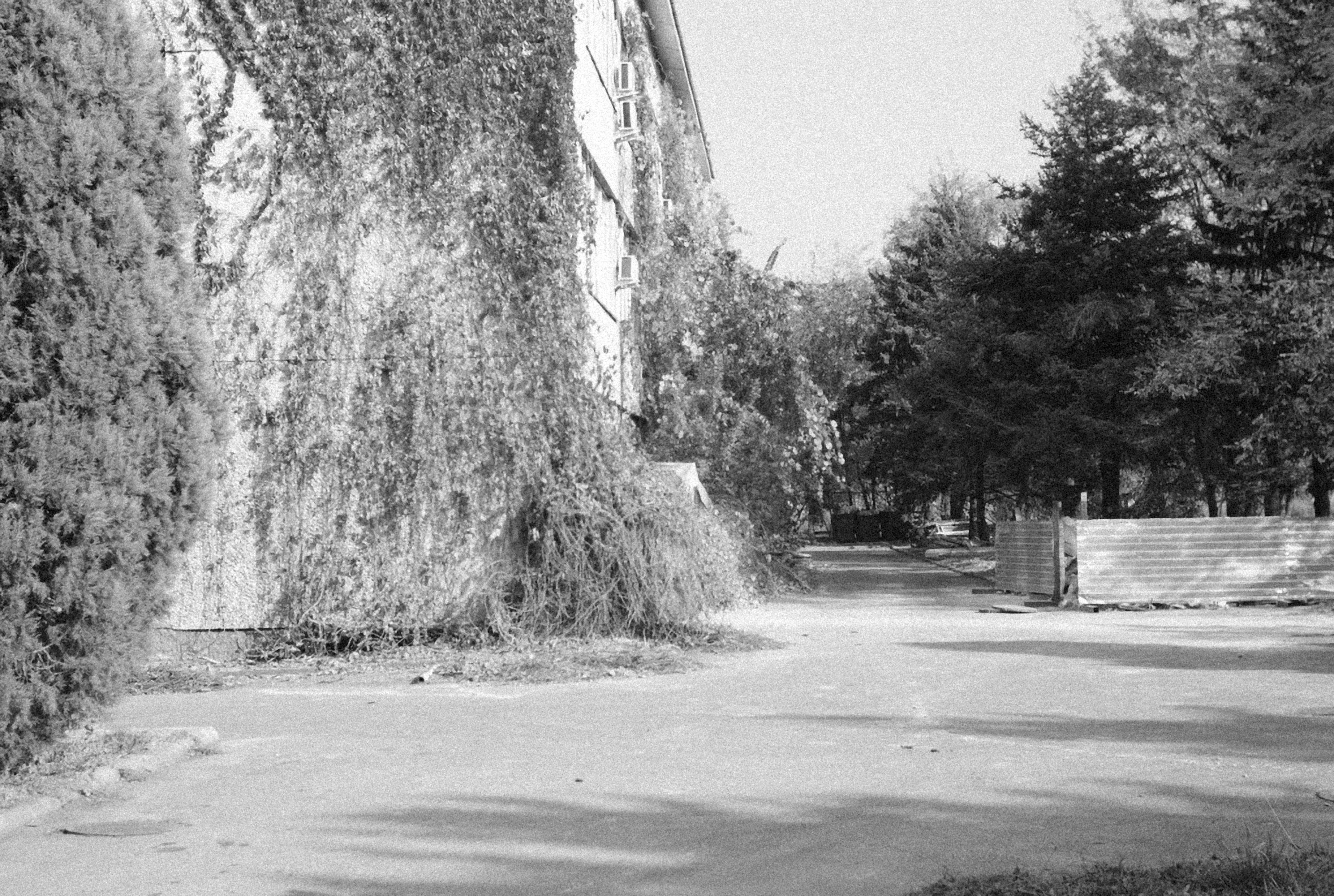 Photo by alexeydemidov