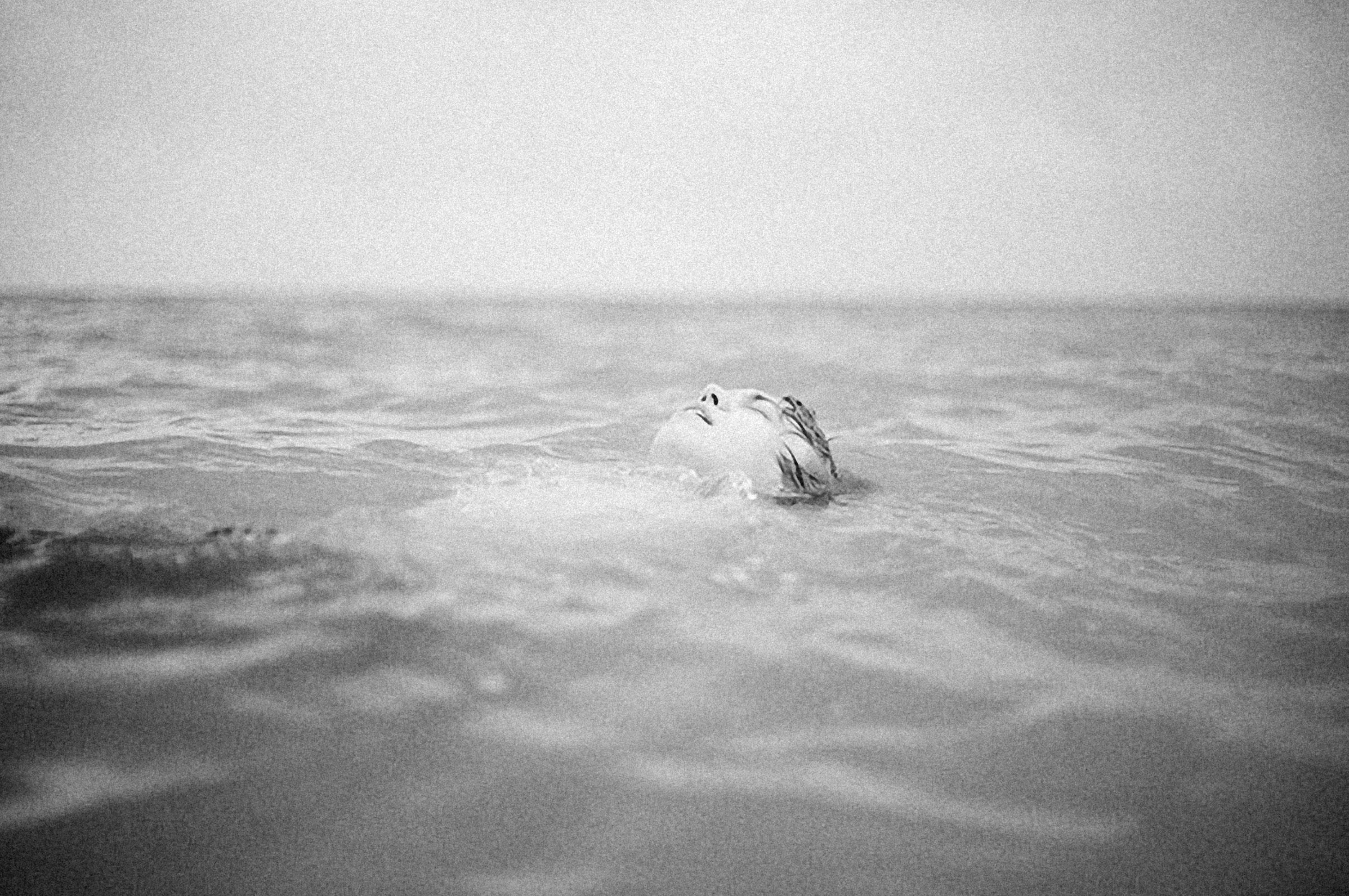 Photo by alexeydemidov