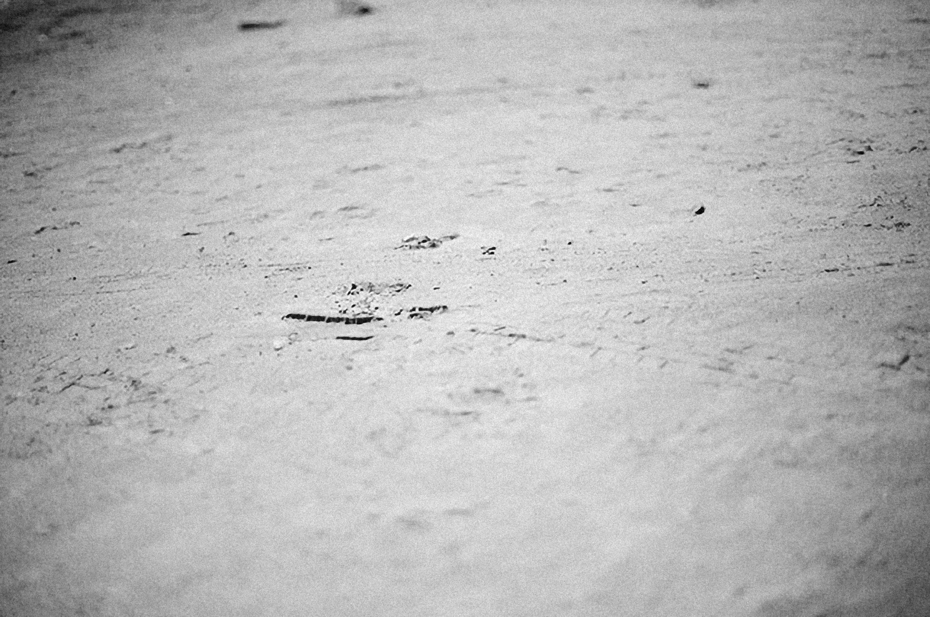 Photo by alexeydemidov