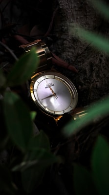 A gold wristwatch with a metallic band rests on a surface surrounded by green foliage. The watch face has a minimalist design with gold hour markers and hands.