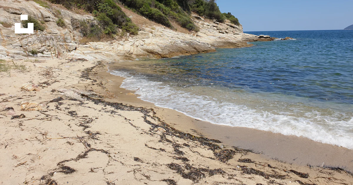 Une plage de sable avec des vagues qui arrivent sur le rivage photo ...