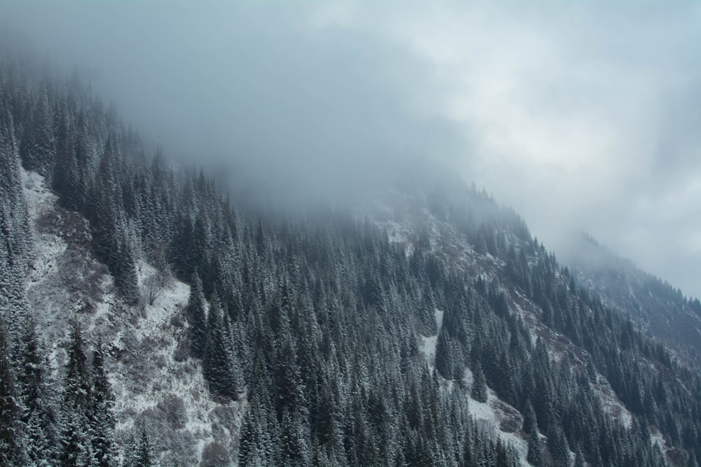 a mountain covered in snow and trees under a cloudy sky