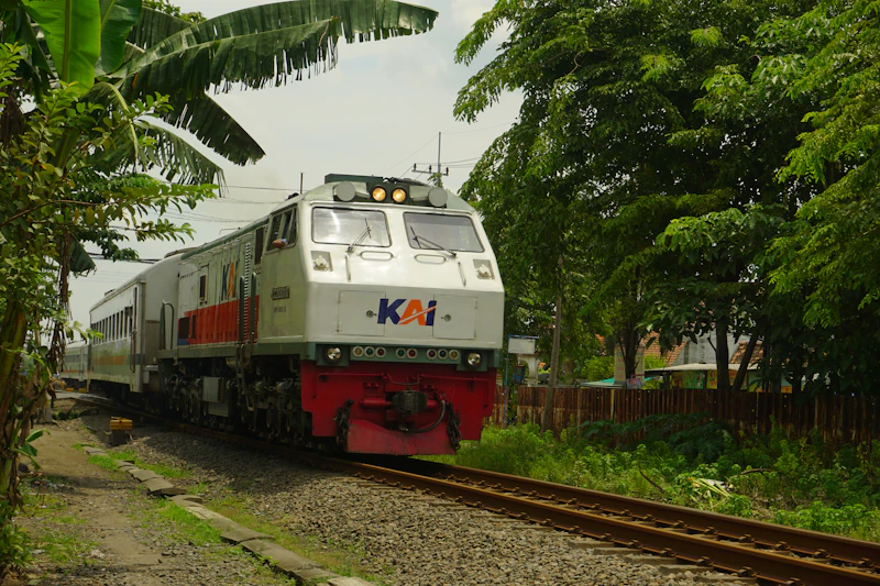Kereta wisata melintasi hutan hijau, ilustrasi sewa kereta wisata rombongan