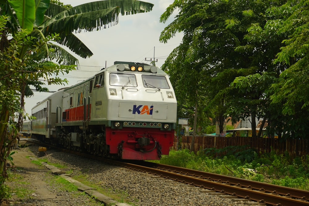 a train traveling down train tracks next to a lush green forest