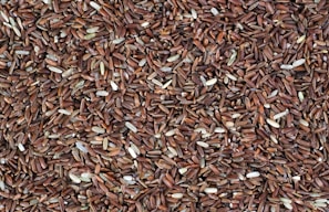 a close up of a pile of brown rice
