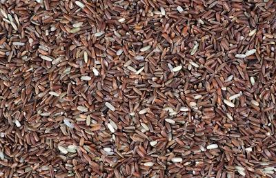 a close up of a pile of brown rice