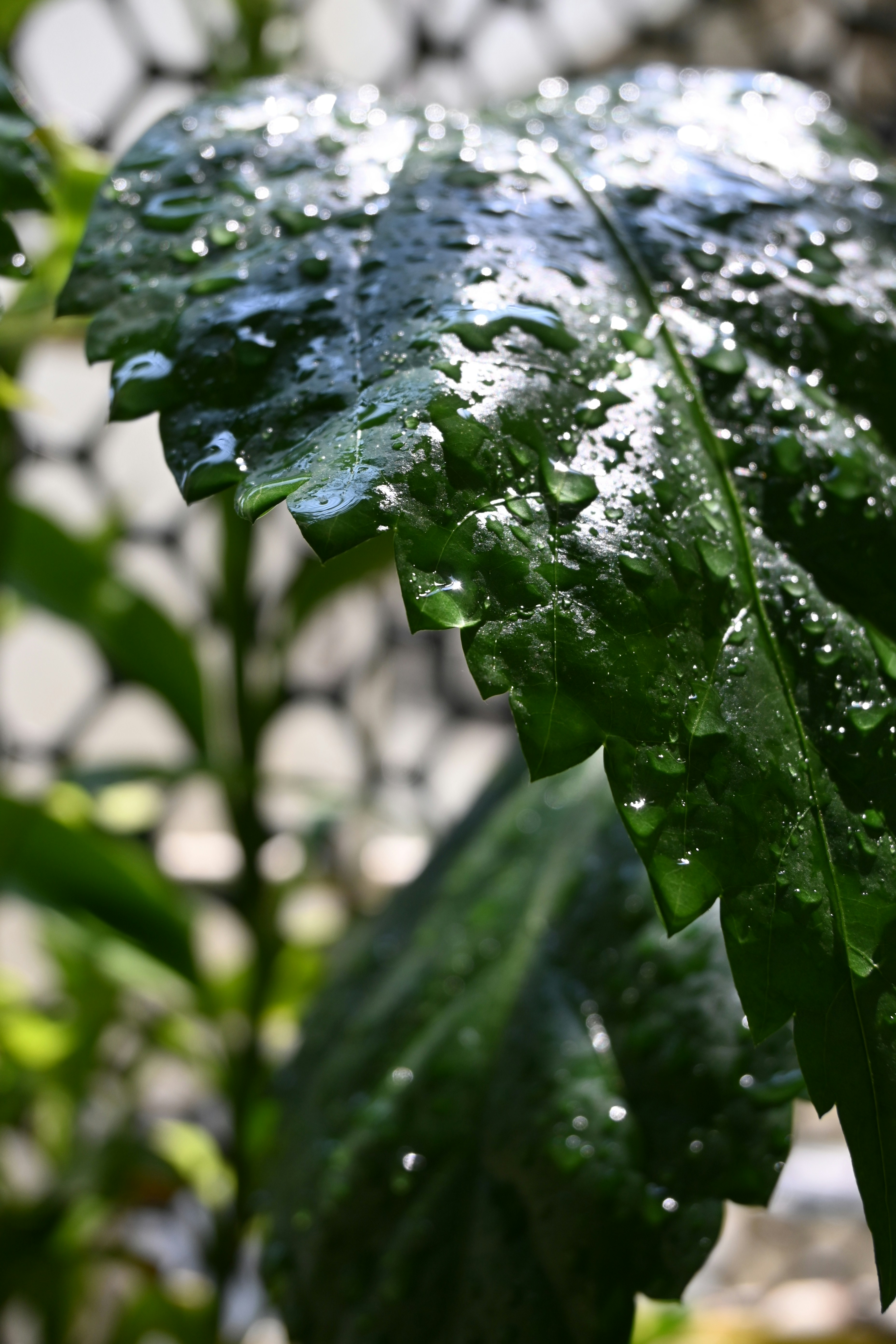 Photo by skypeople101