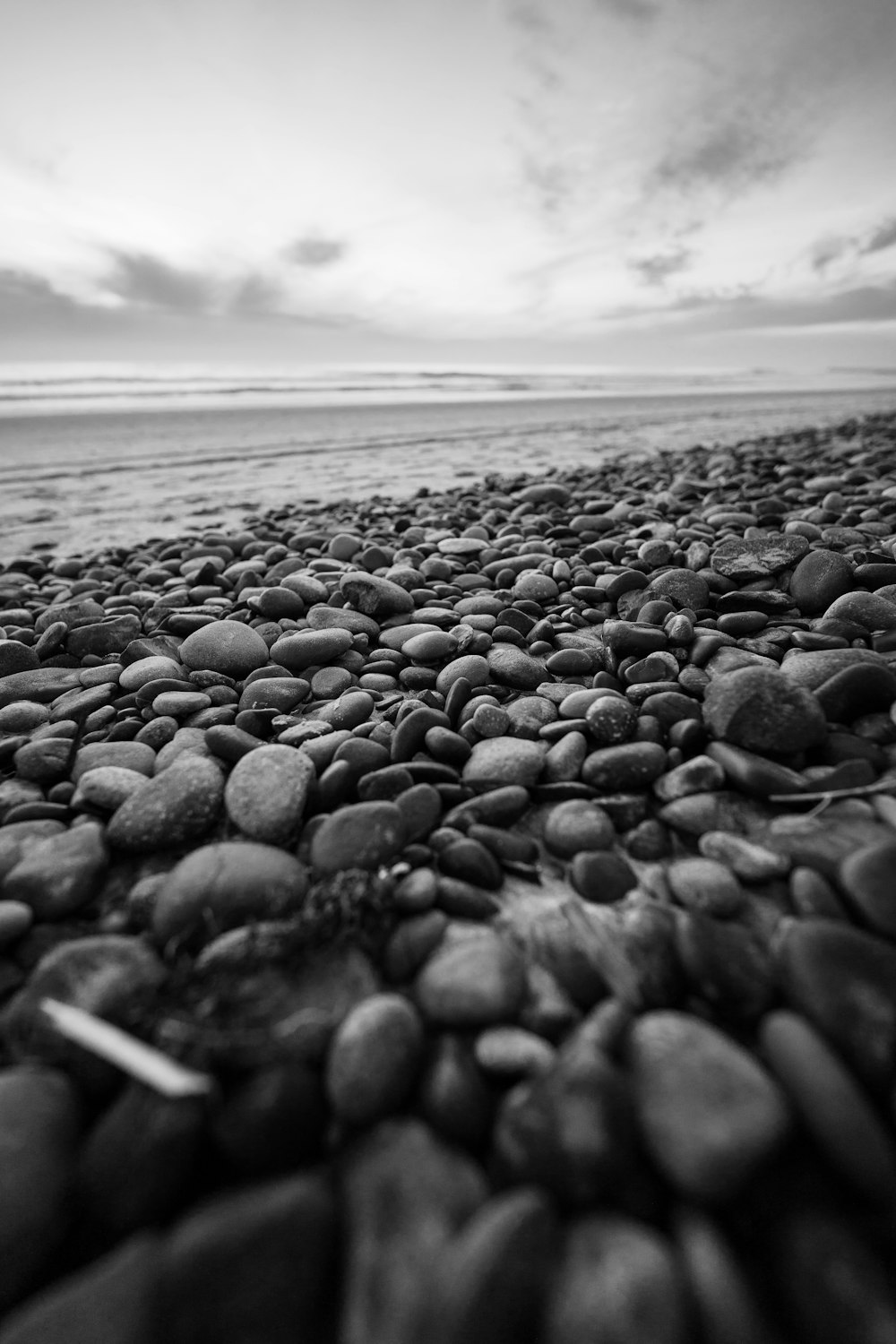 a rocky beach