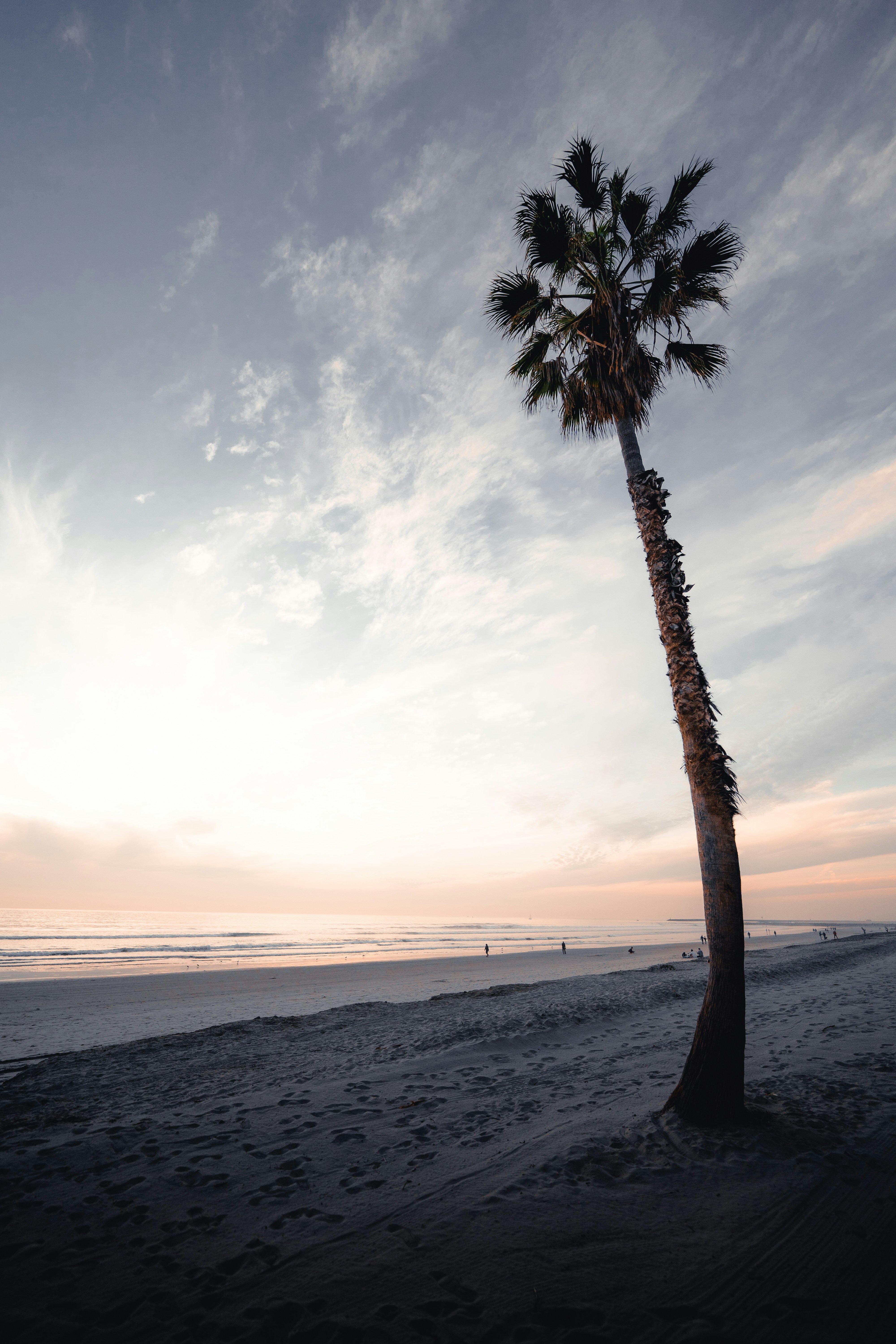 Photo by greysonthomas