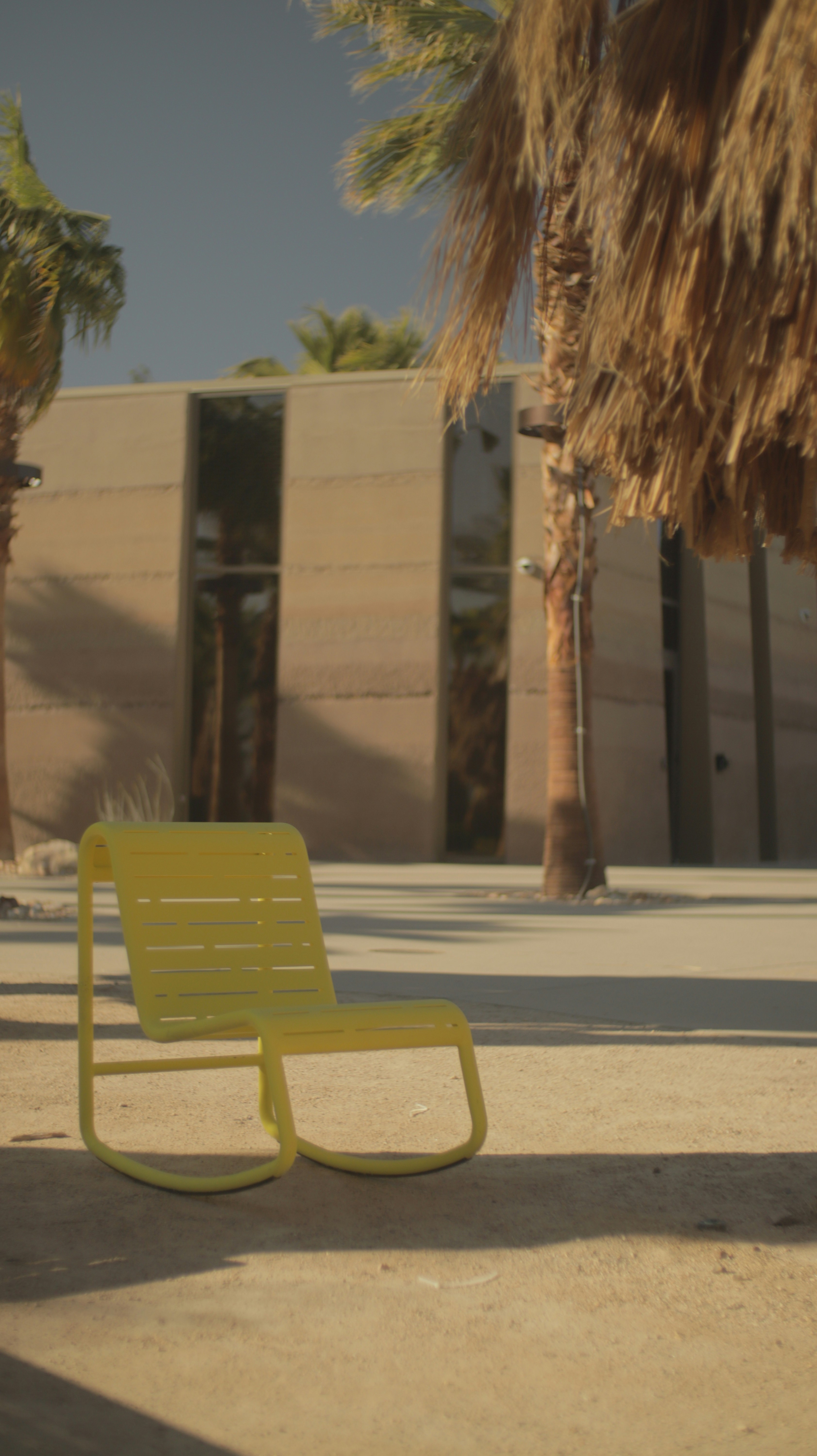 ein gelber Liegestuhl vor einer Palme