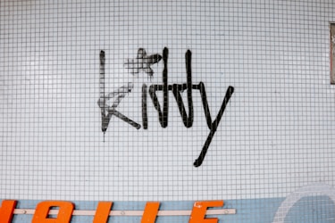 The Charm of Kitty 2D Sprites: A Playful Exploration