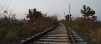 An image of an empty railway track winding through a rural area, flanked by overgrown vegetation and trees. The scene appears serene with a light haze in the background, suggesting early morning or late afternoon.
