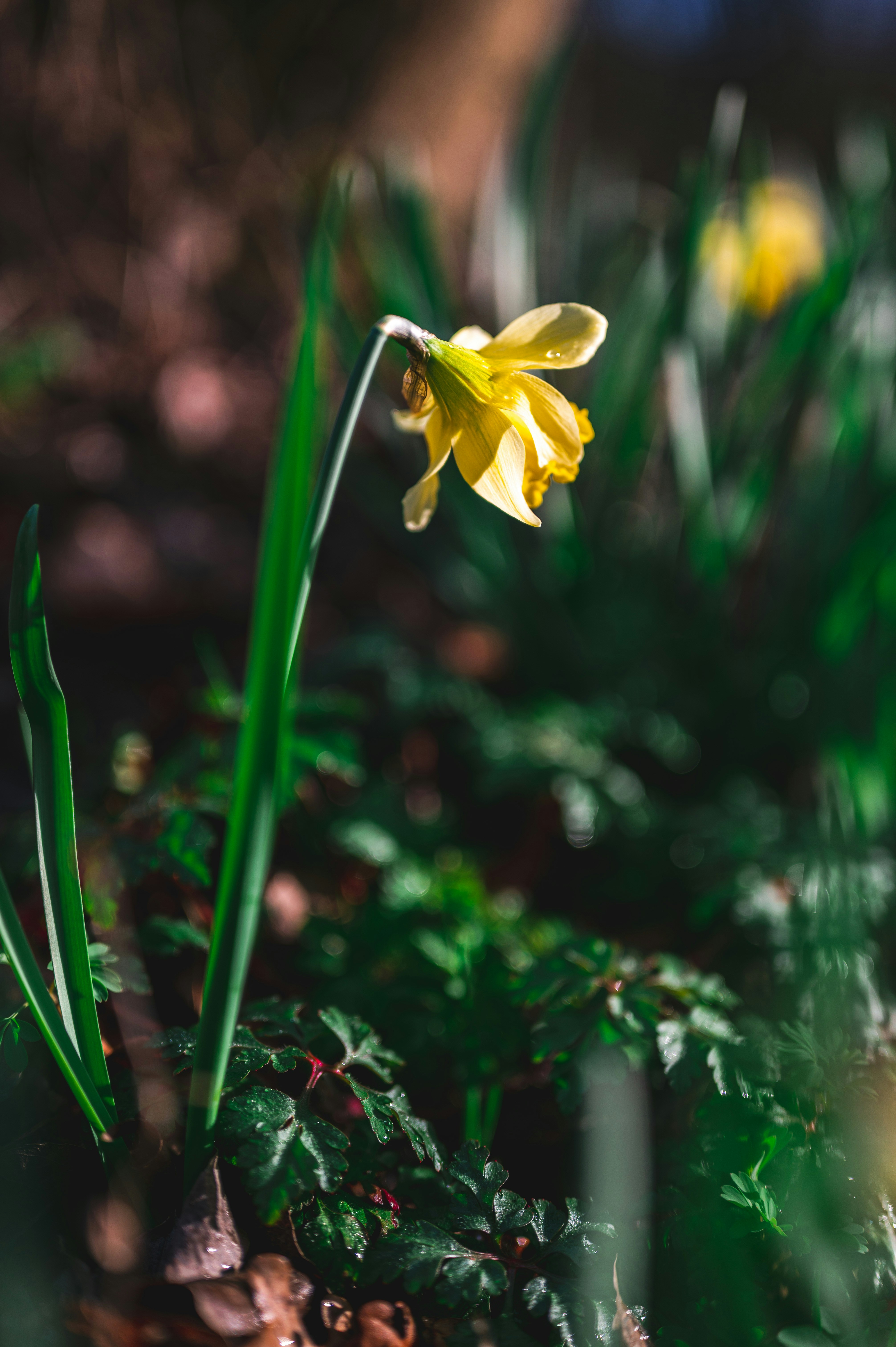 Photo by andreasbrun