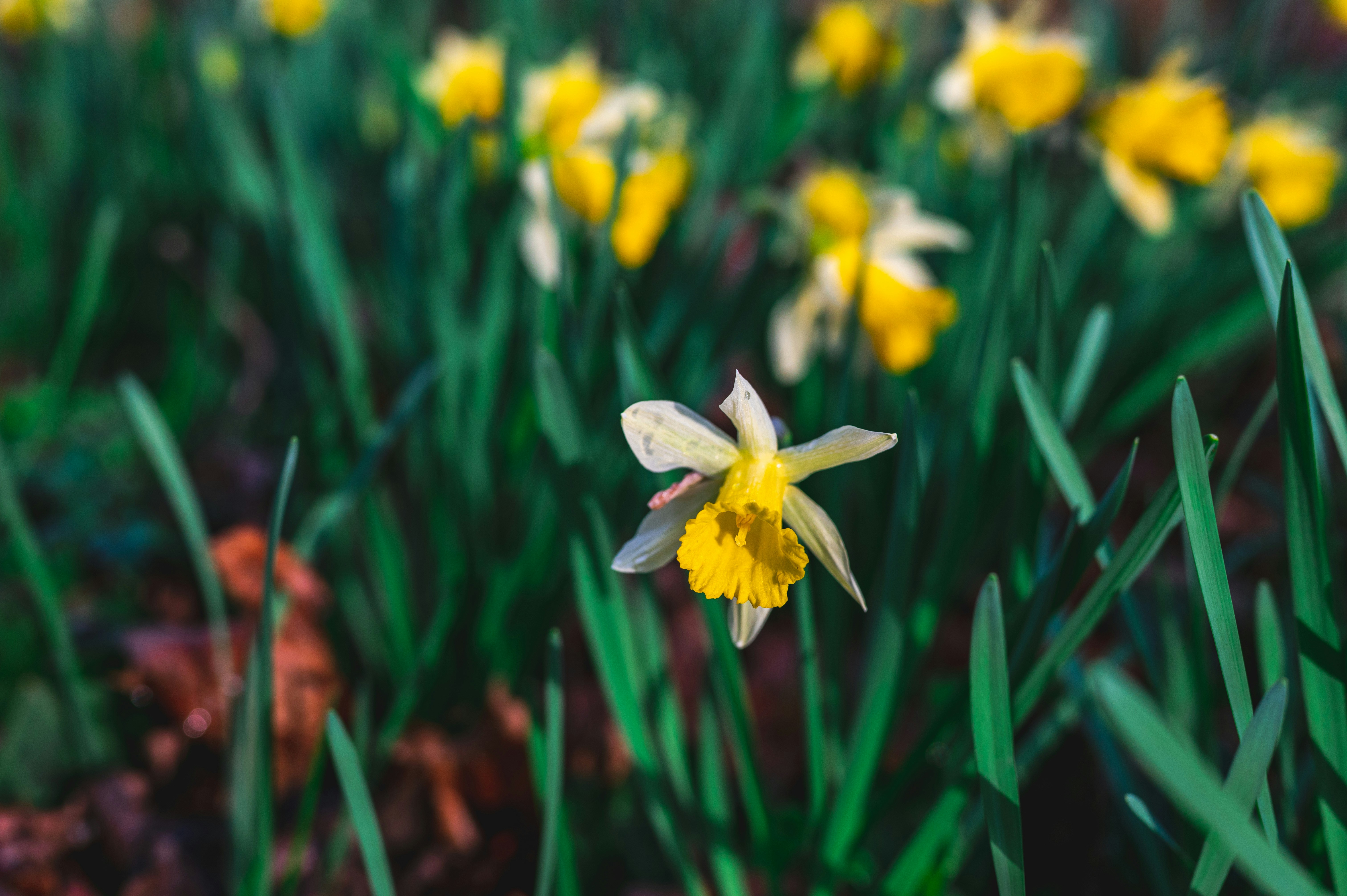 Photo by andreasbrun