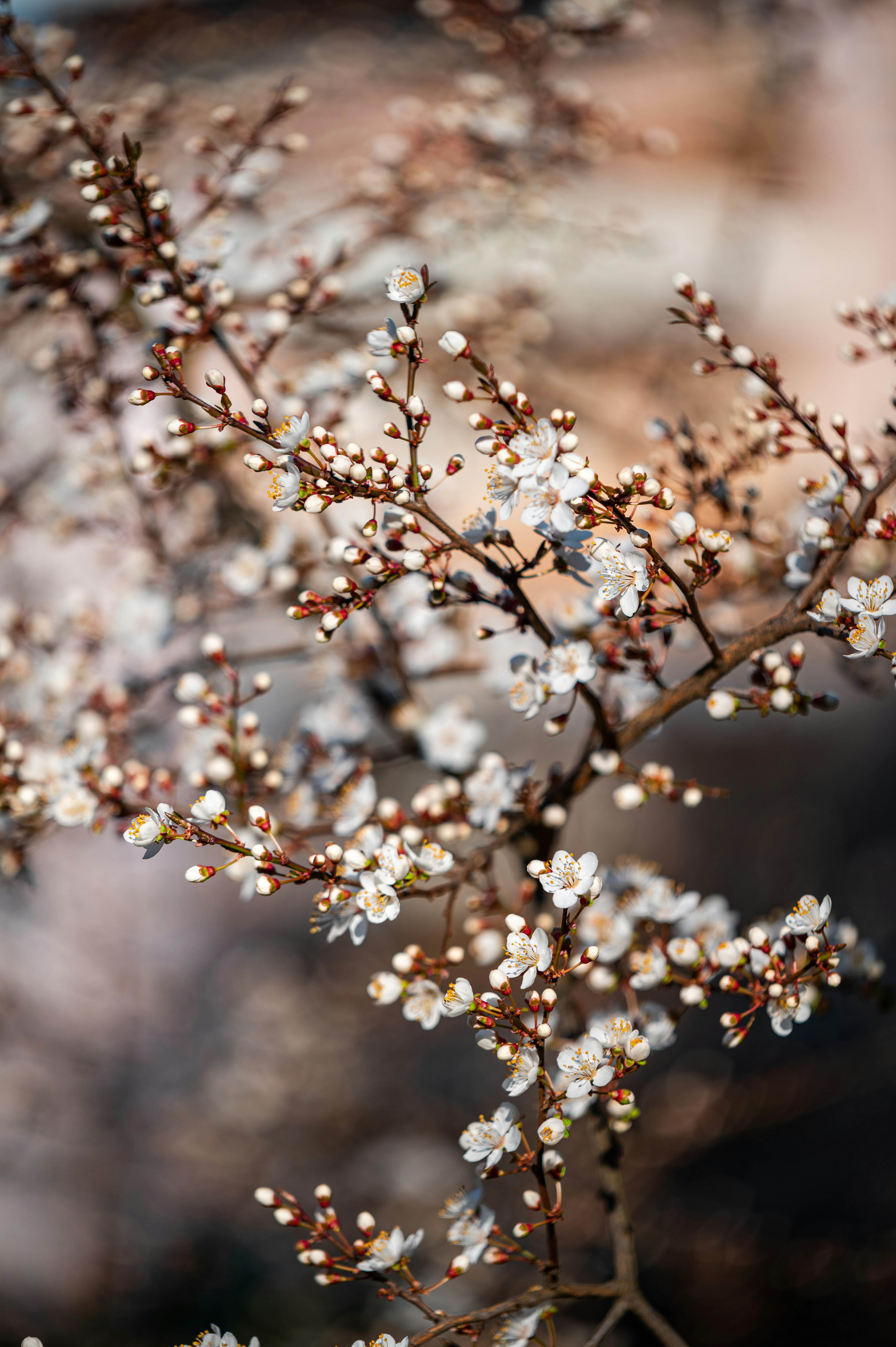 Photo by andreasbrun